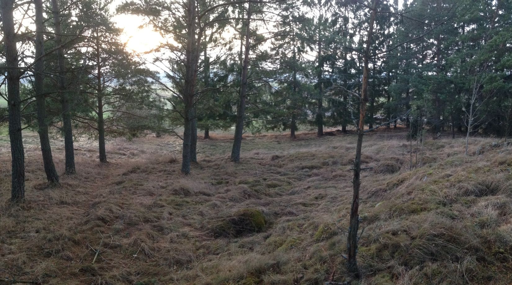 Villa, Högbrovägen 55, Närtuna, Norrtälje