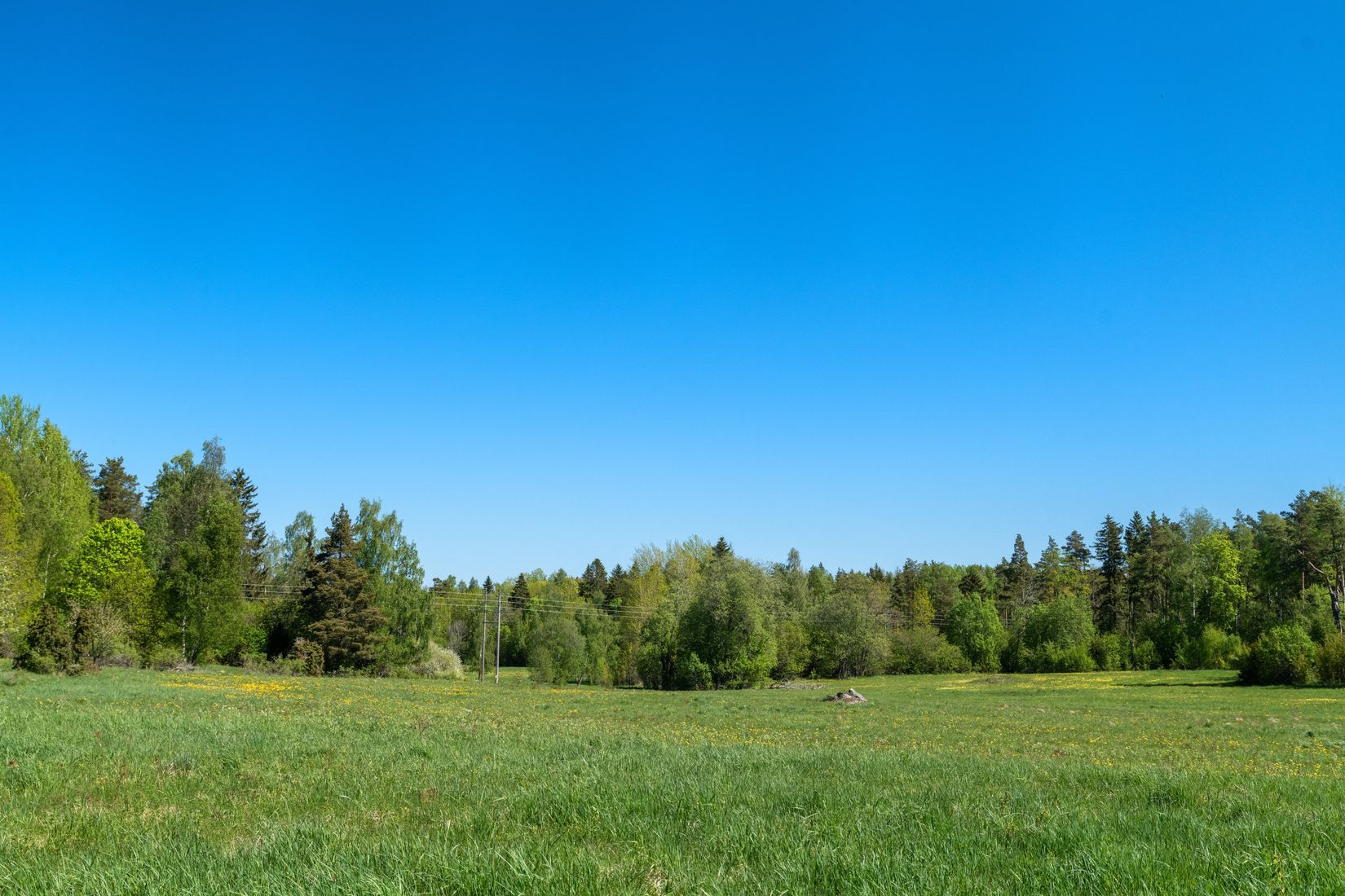 Gård/Skog, Åkeröstigen 91, Rådmansö, Norrtälje