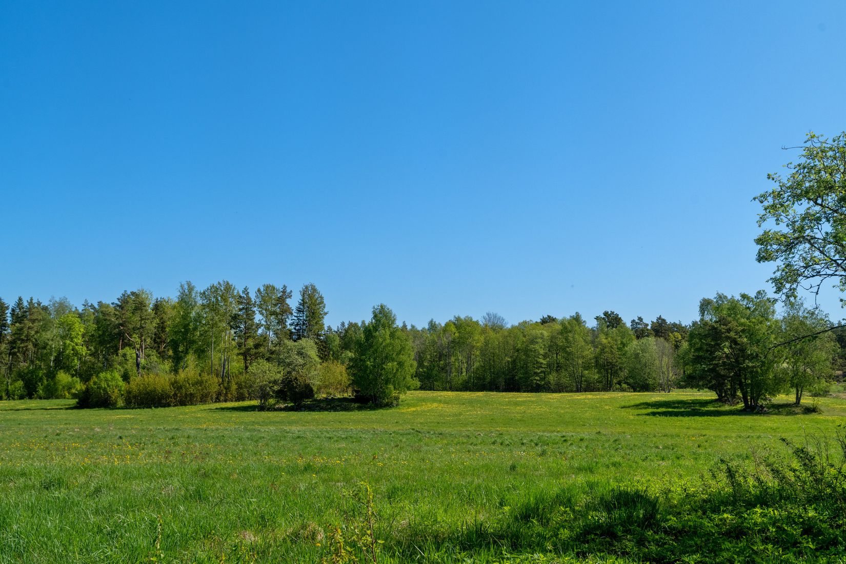 Gård/Skog, Åkeröstigen 91, Rådmansö, Norrtälje