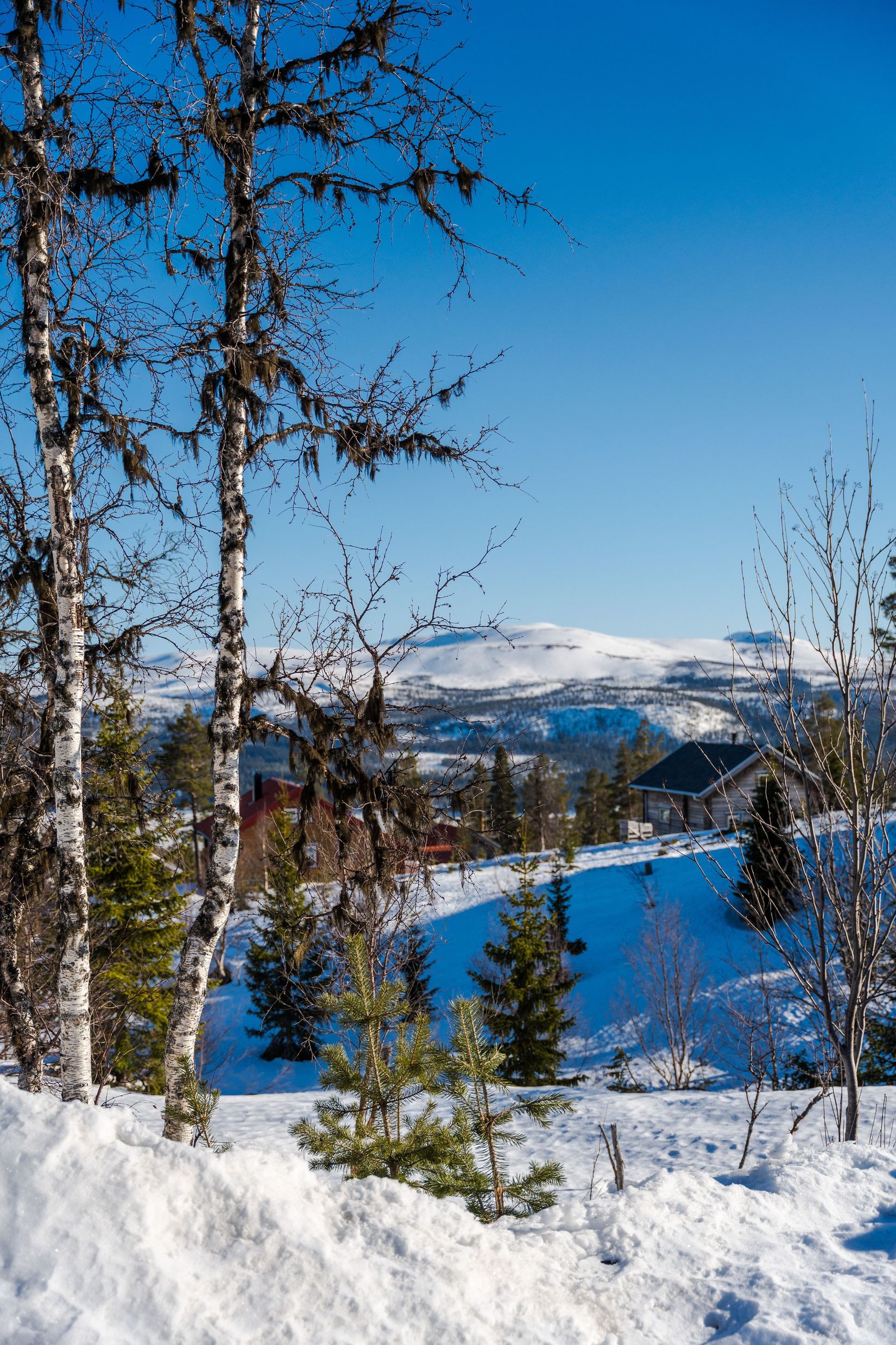 Tomt, Höglandet Laxvägen 10, Lofsdalen - Höglandet, Härjedalen