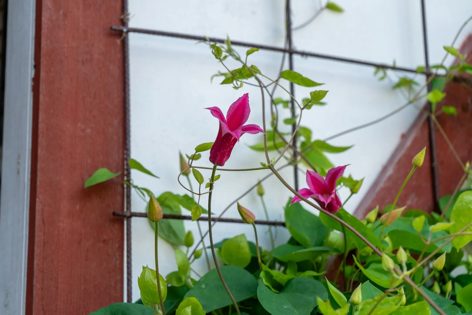 Villa, Råga Hörstadsvägen 10B, Asmundtorp, Landskrona