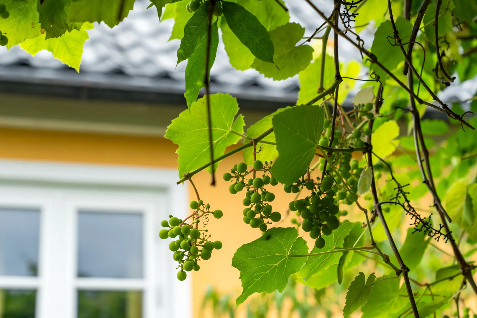 Villa, Råga Hörstadsvägen 10B, Asmundtorp, Landskrona