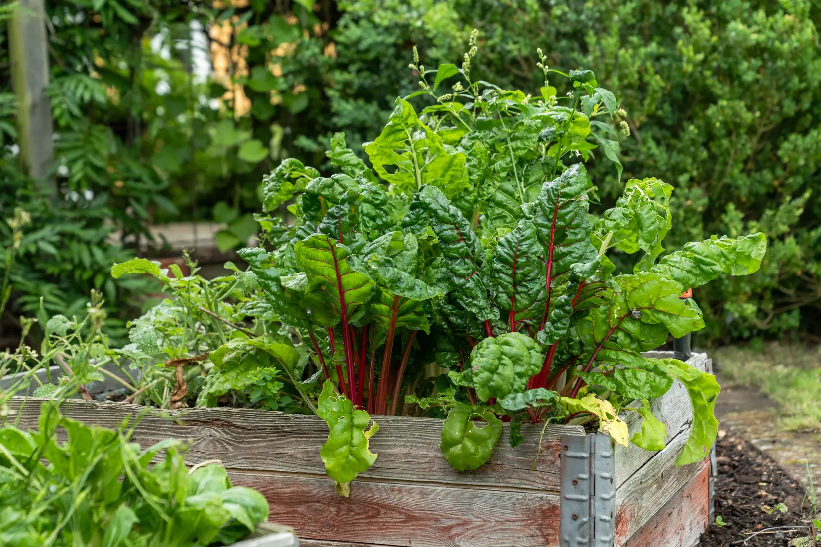 Villa, Råga Hörstadsvägen 10B, Asmundtorp, Landskrona