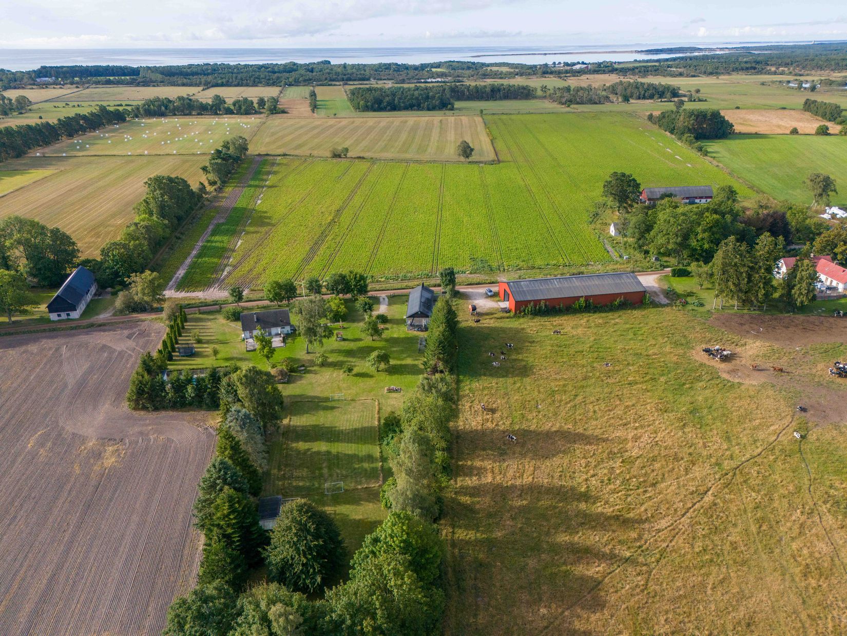 Övrigt, När Dalbo 466, När - Sydöstra Gotland, Gotland