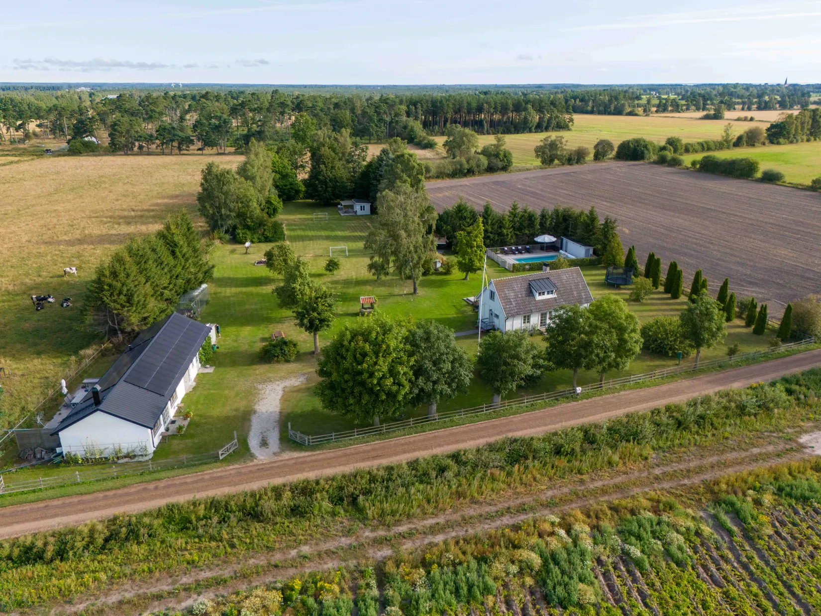 Övrigt, När Dalbo 466, När - Sydöstra Gotland, Gotland