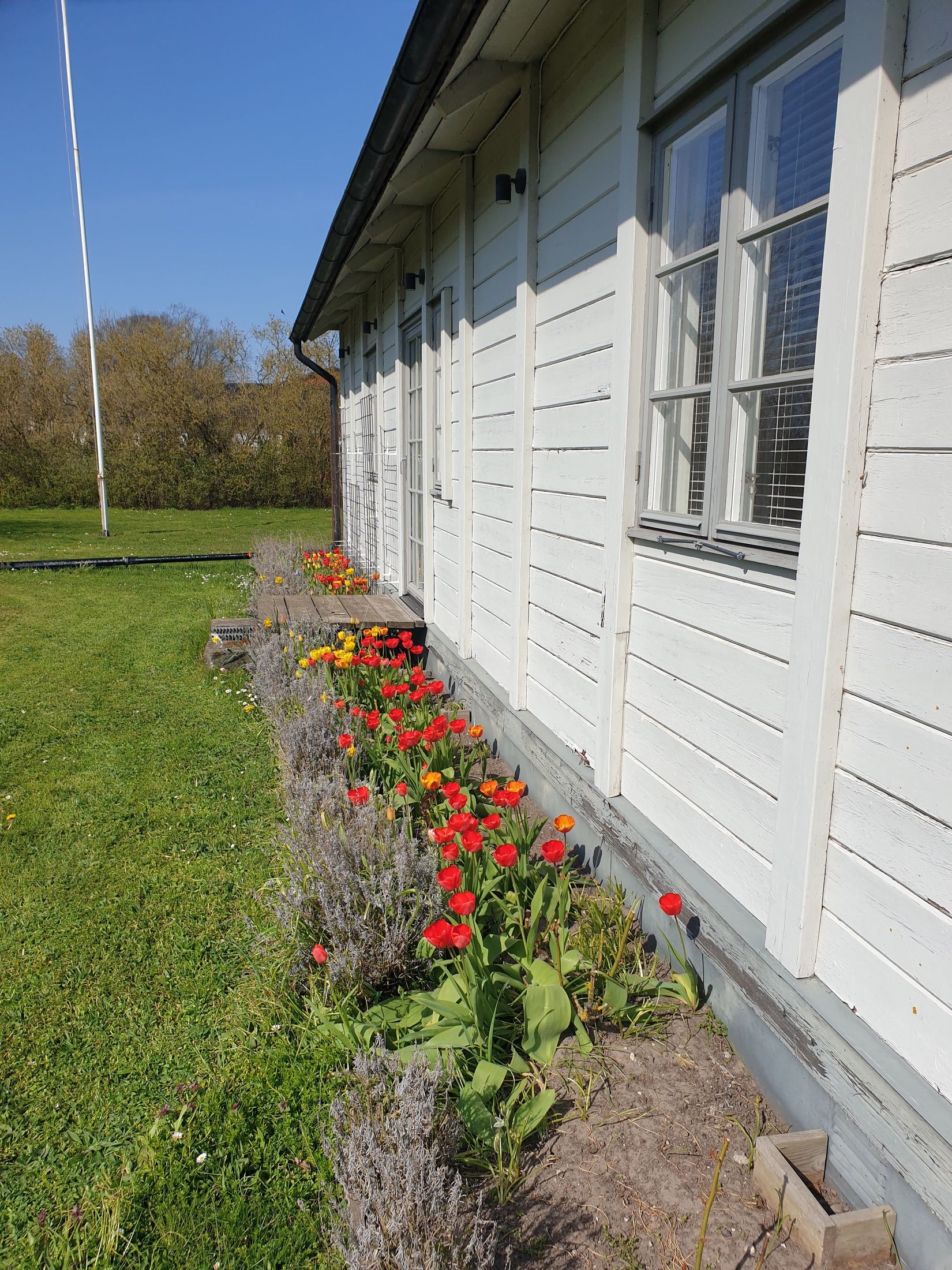 Övrigt, När Dalbo 466, När - Sydöstra Gotland, Gotland