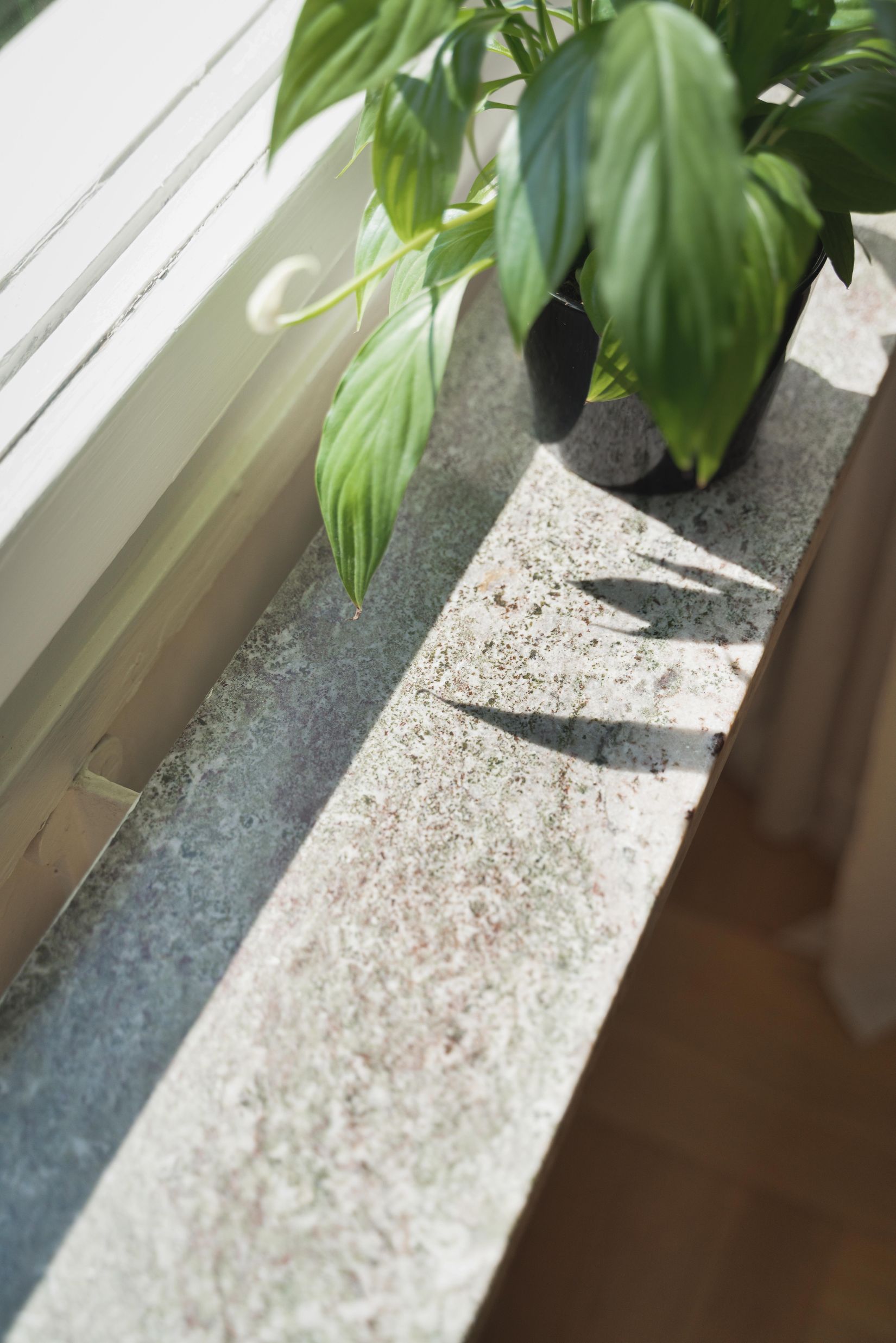 Bostadsrätt, Banérgatan 16 C, Kåbo, Uppsala