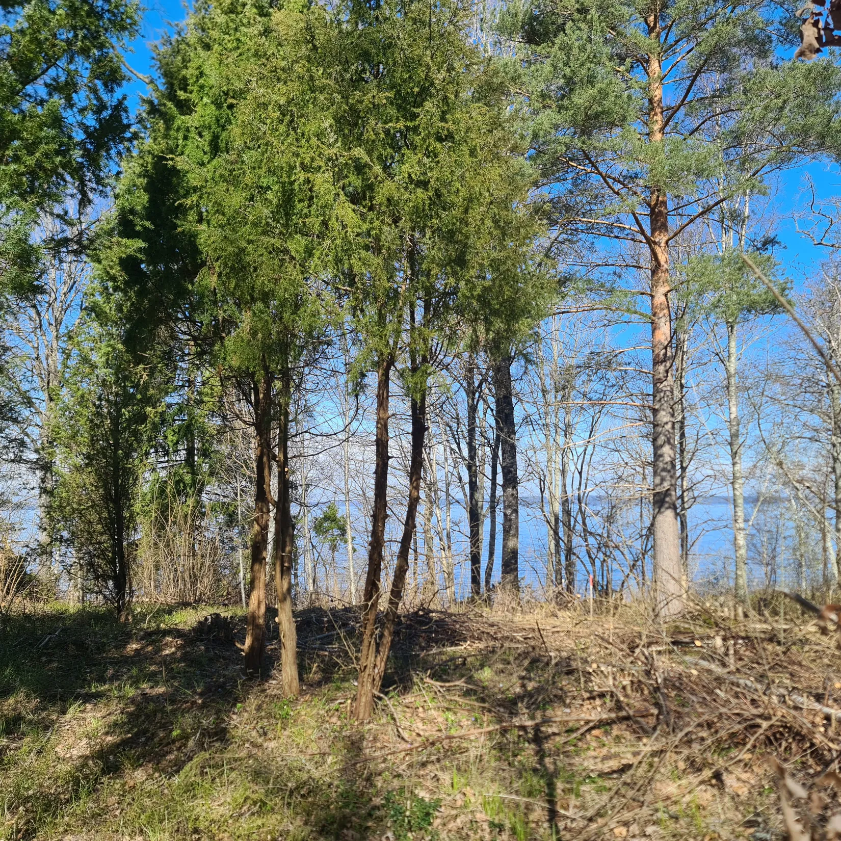 Tomt, Strand och sjöutsikt vid sjön Unden, Sannnerud, Laxå