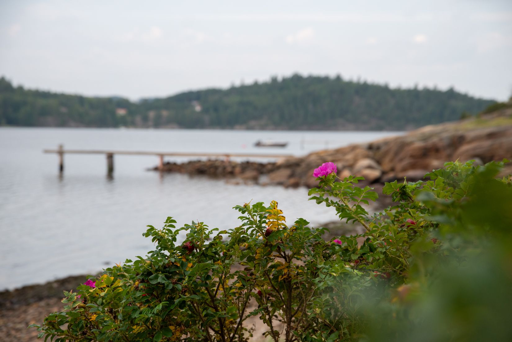 Villa, Restenäs ö 307, Uddevalla