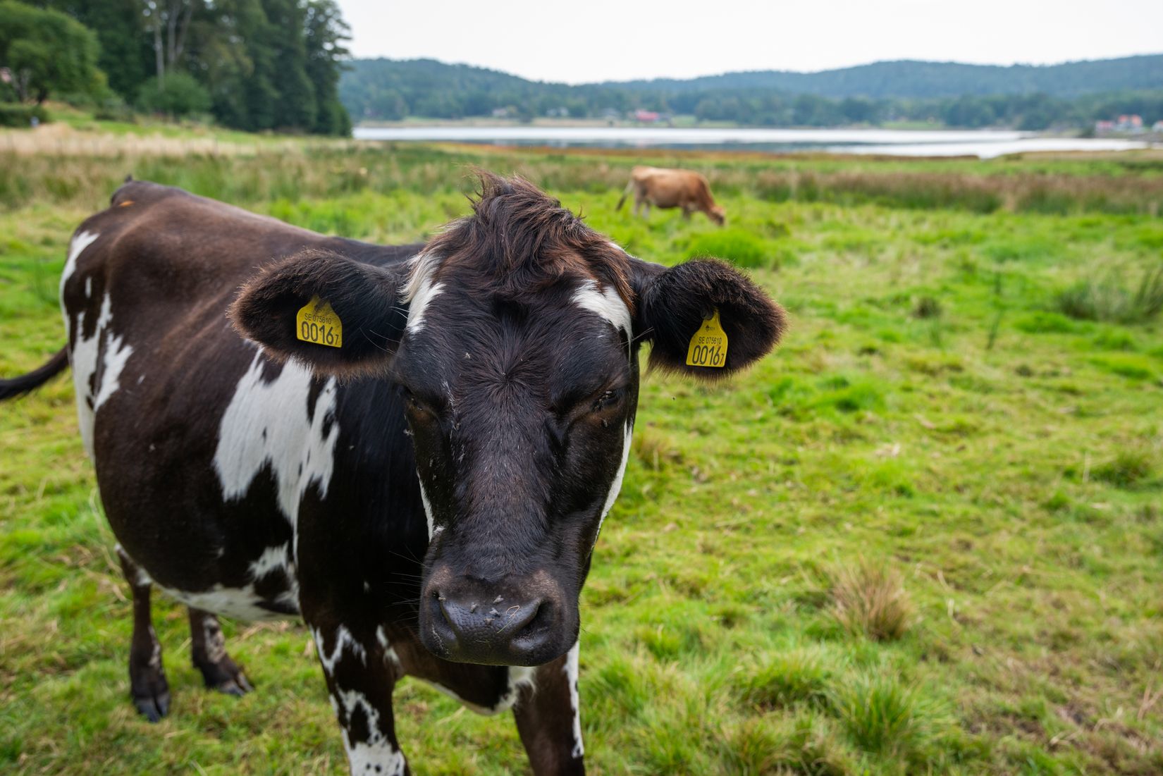 Villa, Restenäs ö 307, Uddevalla