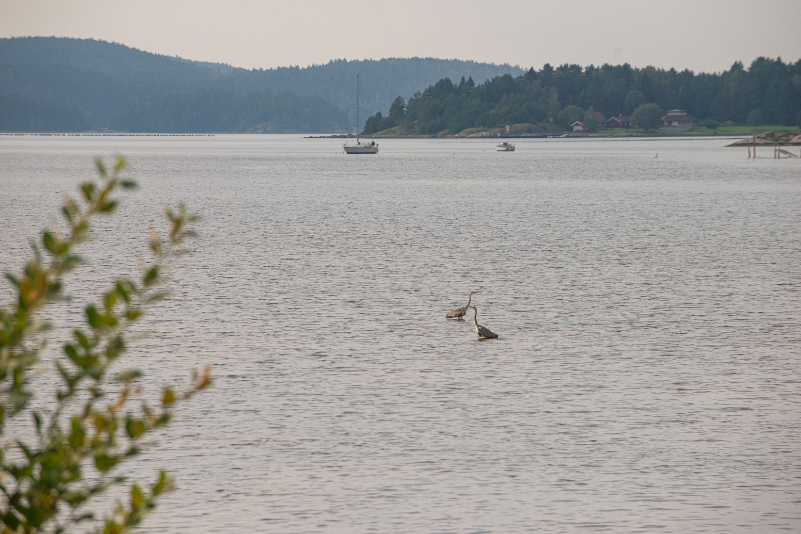 Villa, Restenäs ö 307, Uddevalla