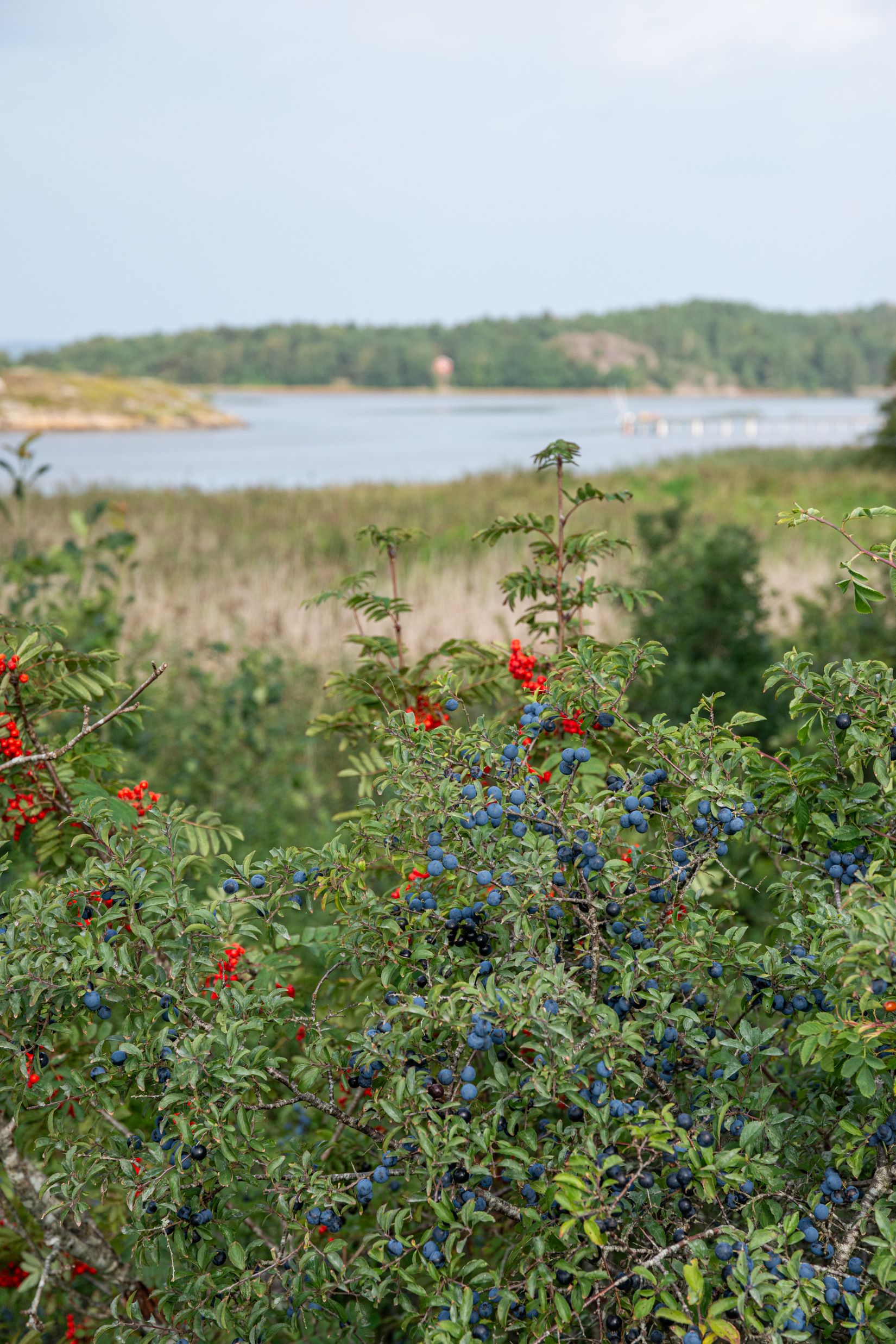 Villa, Restenäs ö 307, Uddevalla