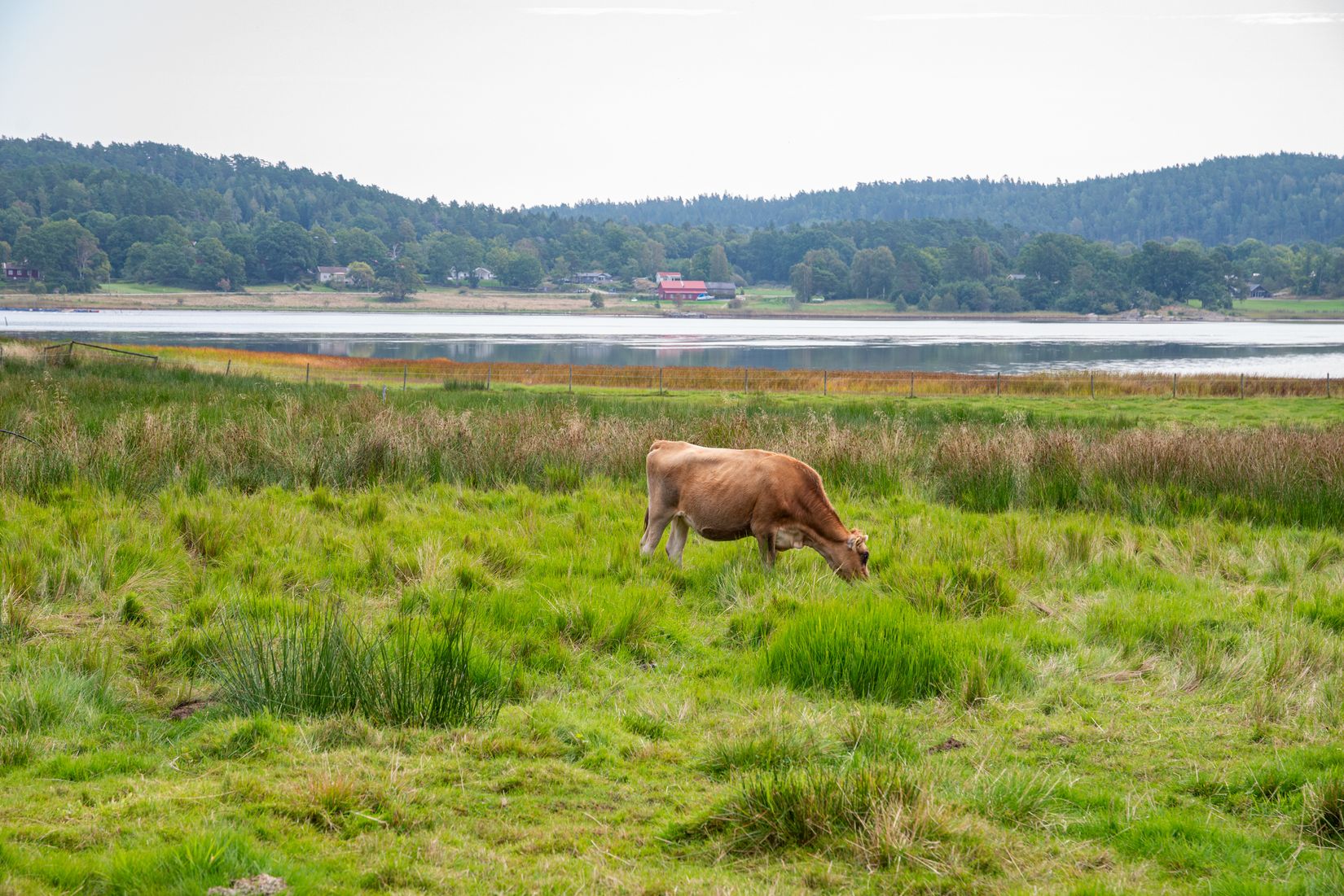 Villa, Restenäs ö 307, Uddevalla