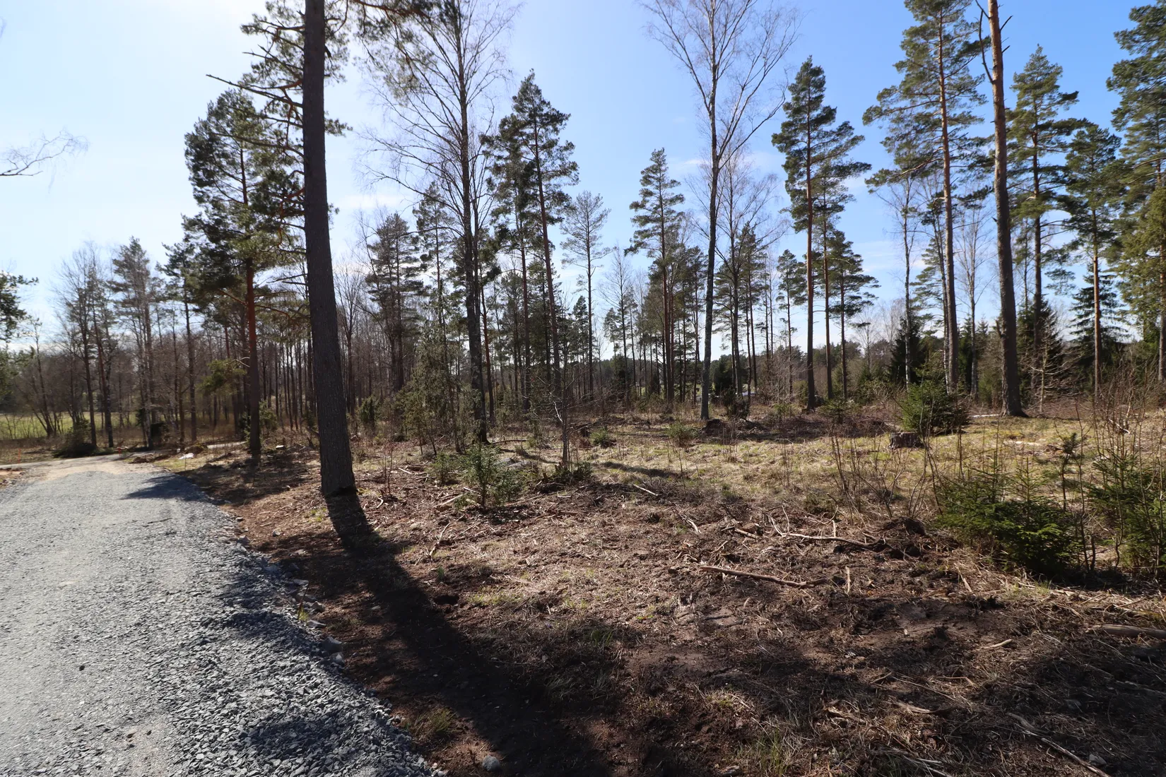 Tomt, Långbrovägen 6 & 8, Gottröra - Vängsjön, Norrtälje