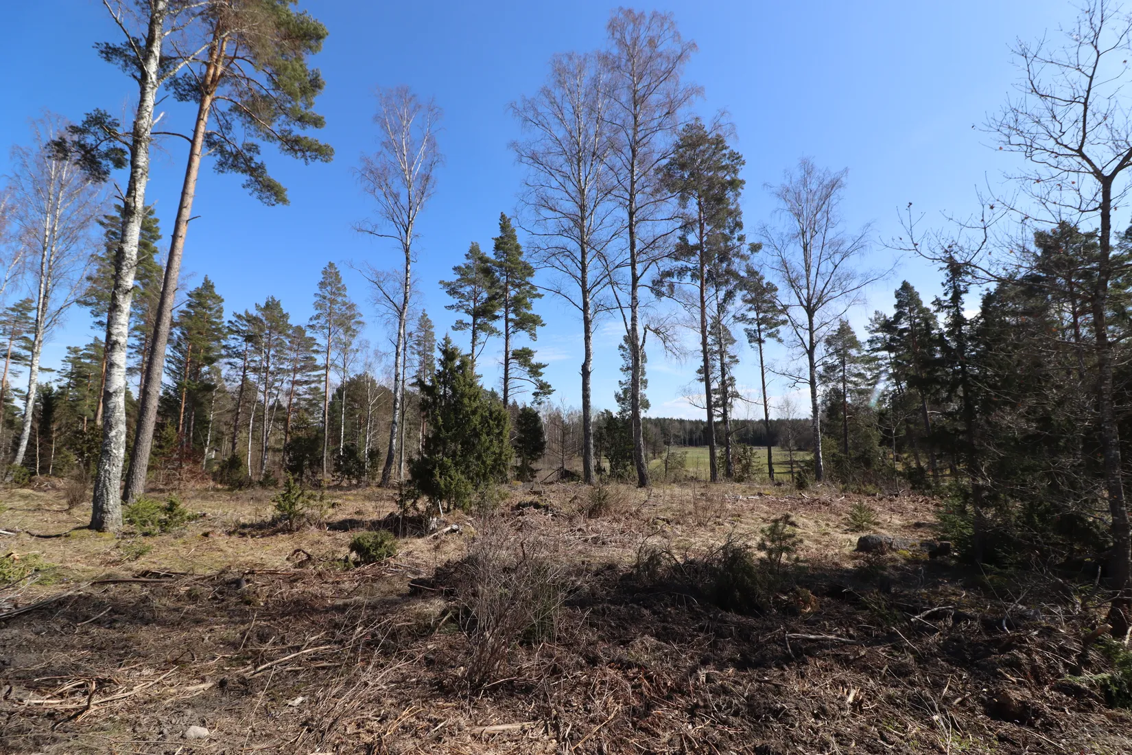 Tomt, Långbrovägen 6 & 8, Gottröra - Vängsjön, Norrtälje