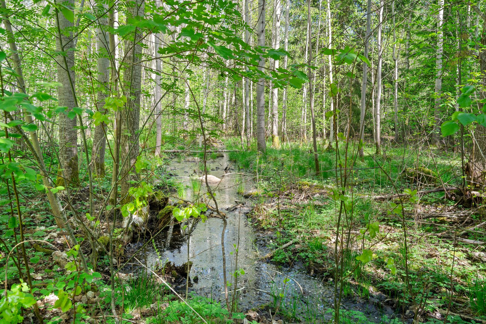 Villa, Flistad Finnagården 3, Flistad, Skövde