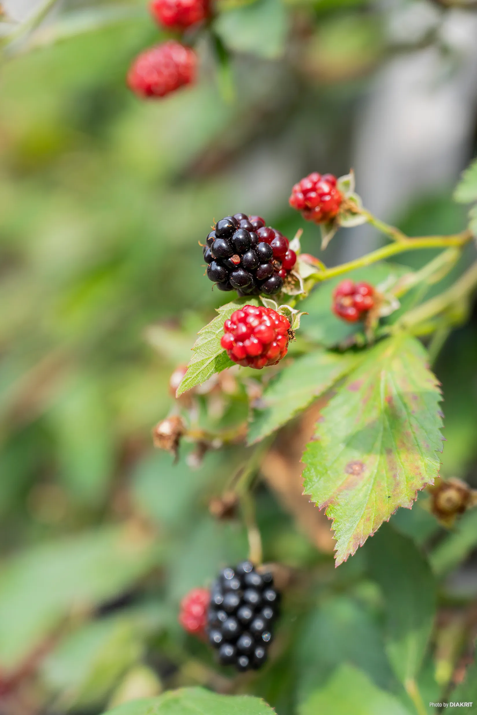 Villa, Lilla Postegårdsgatan 4, Hisings Backa - Tingstad, Göteborg