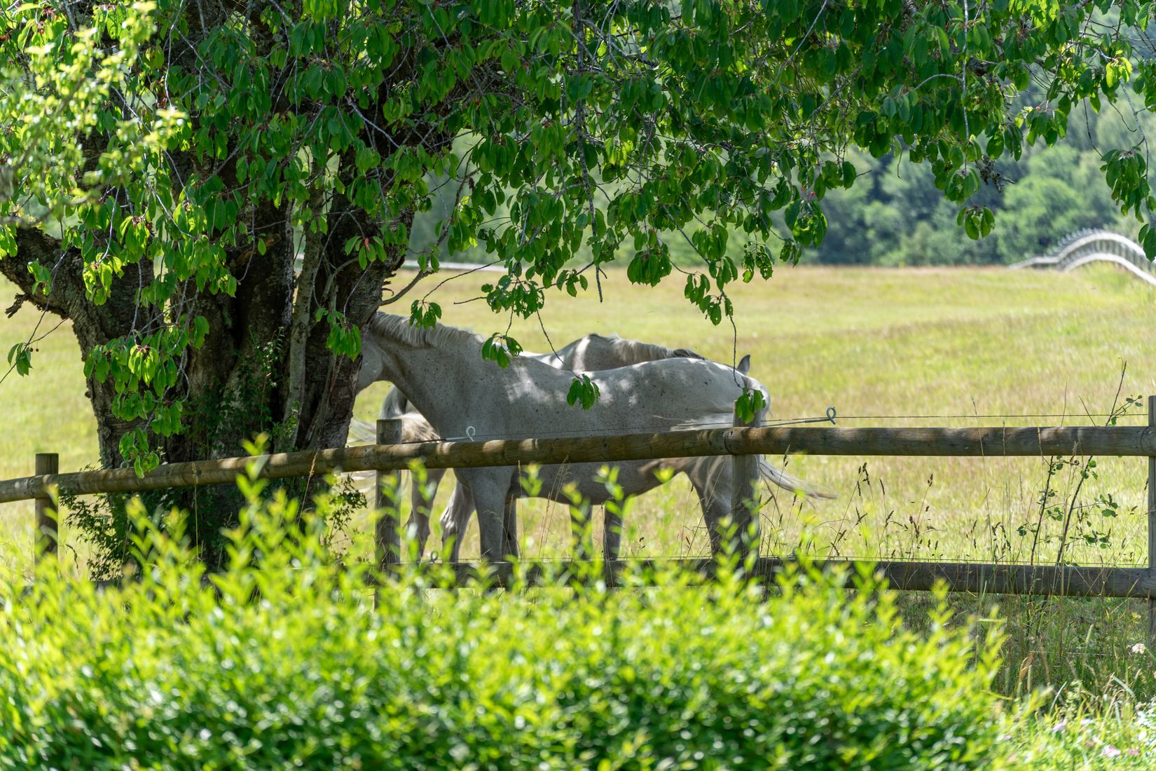 Villa, Flugsnapparvägen 11, Lerdala, Skövde