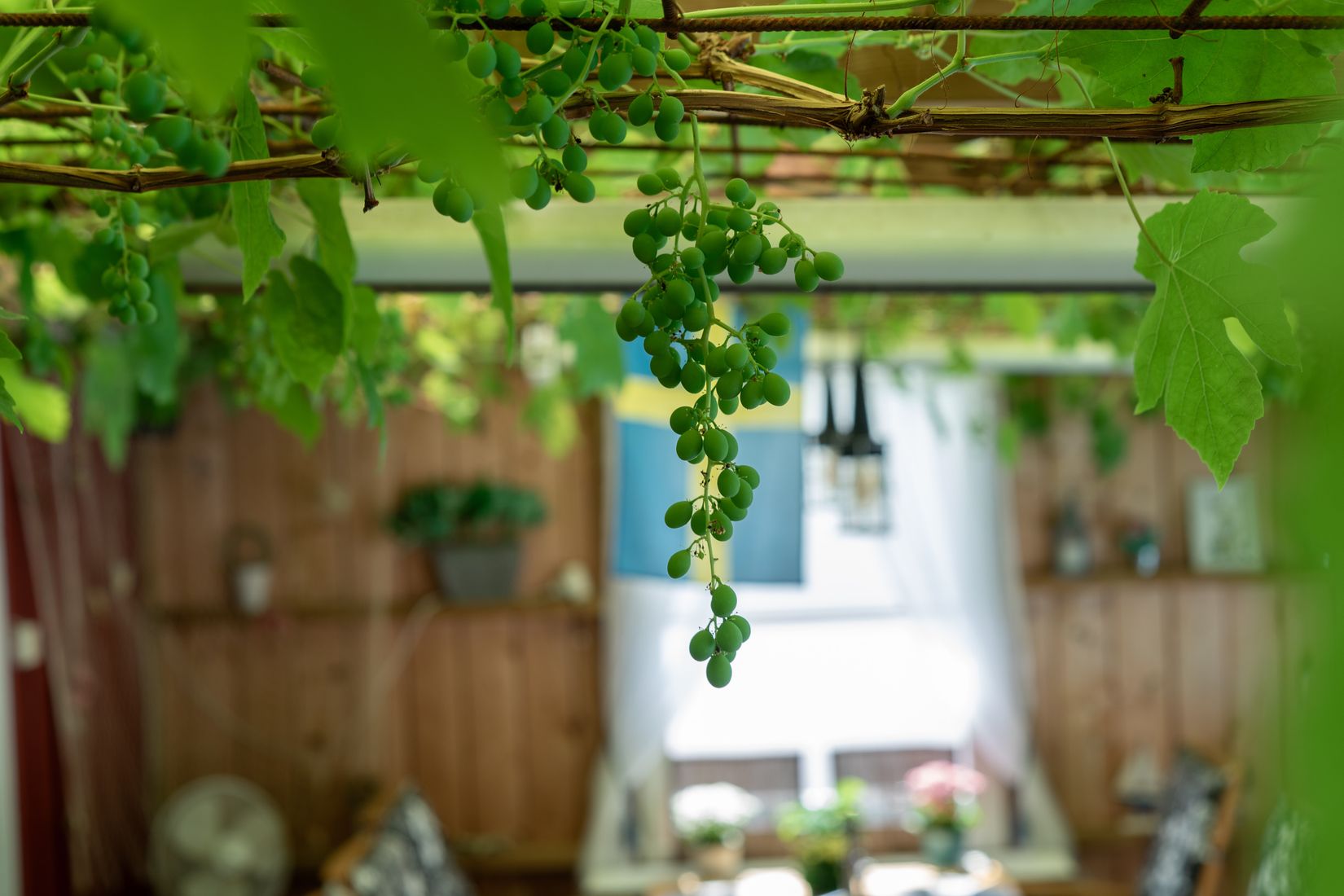 Villa, Flugsnapparvägen 11, Lerdala, Skövde