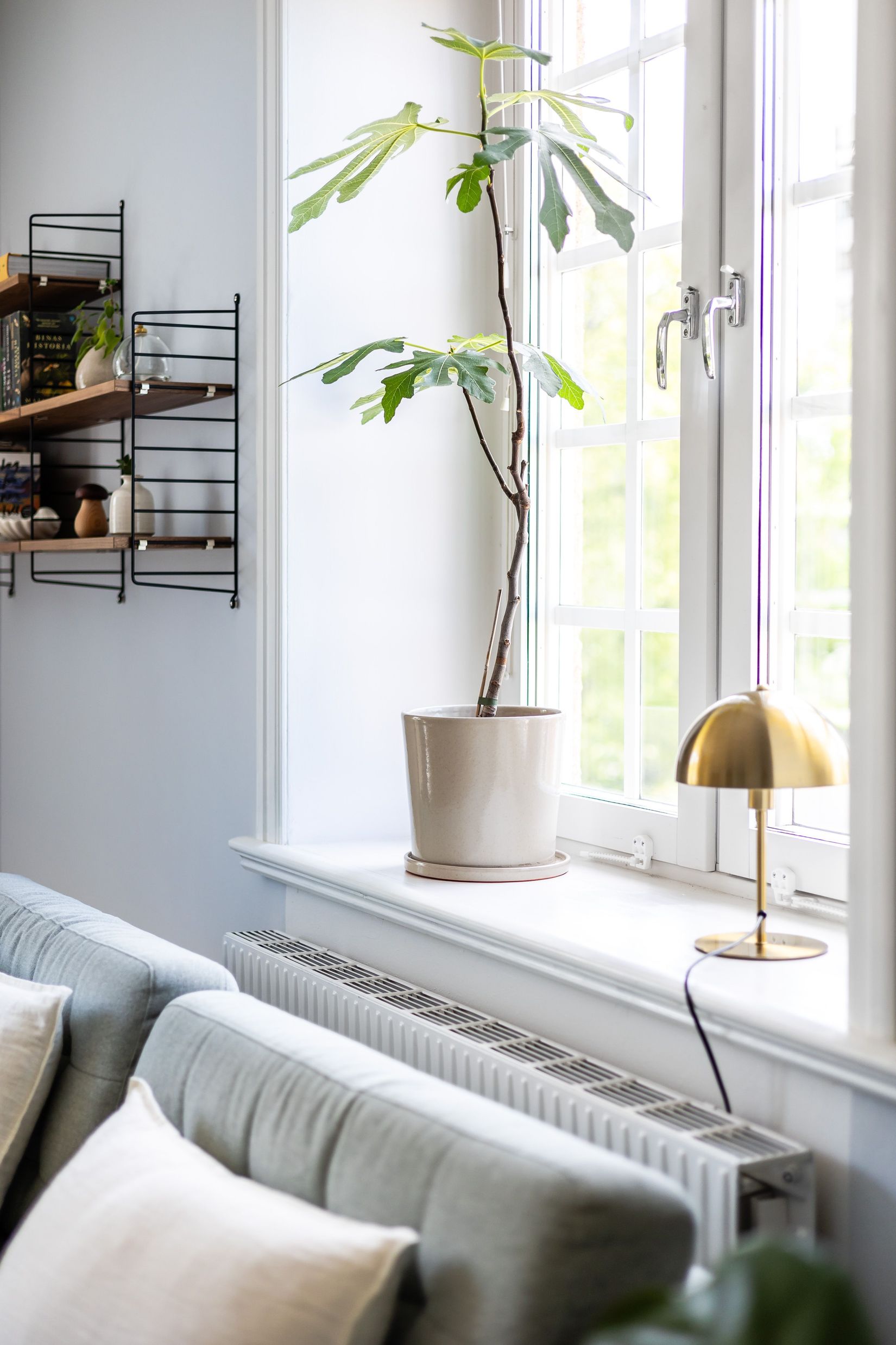 Bostadsrätt, Skyttegatan 4A, Centralt, Linköping