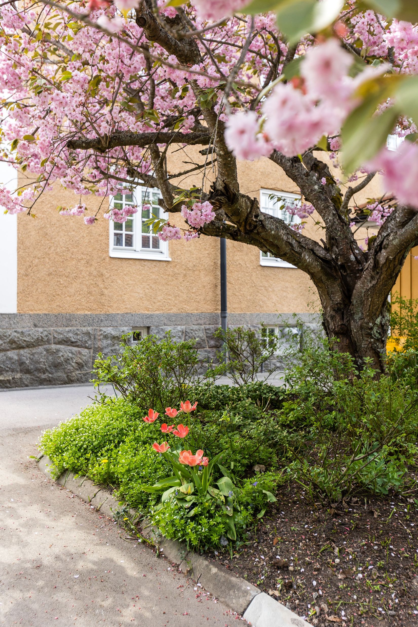 Bostadsrätt, Skyttegatan 4A, Centralt, Linköping