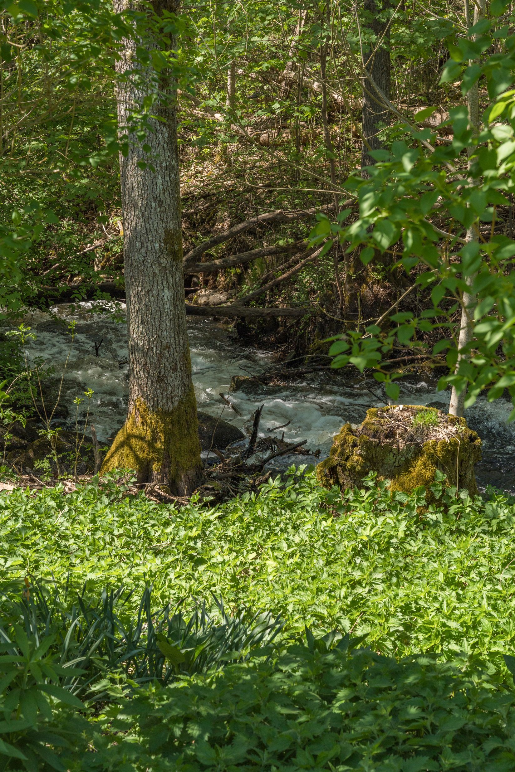 Fritidshus, Hagby 5, Tystberga, Nyköping