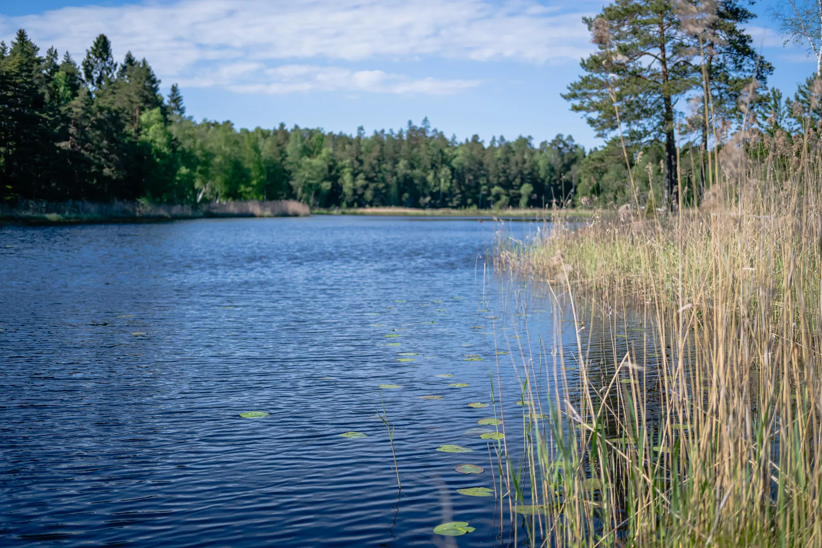 Fritidshus, Bergavägen 5, Granlund, Nyköping