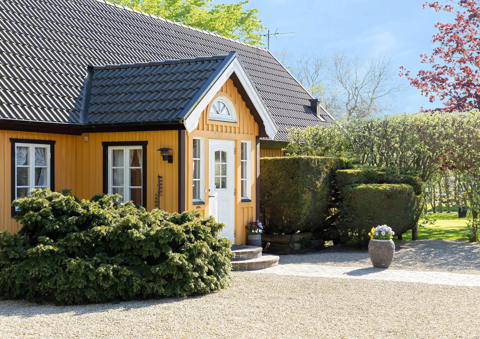 Gård/Skog, Stora Tolångavägen 453, Eggelstad, Sjöbo