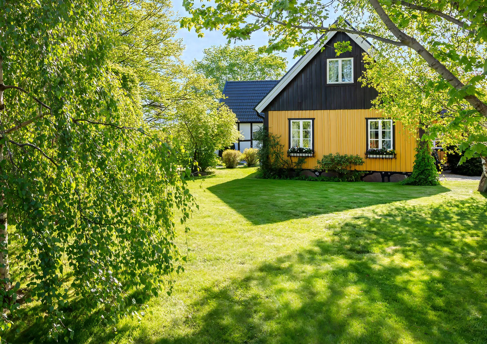 Gård/Skog, Stora Tolångavägen 453, Eggelstad, Sjöbo