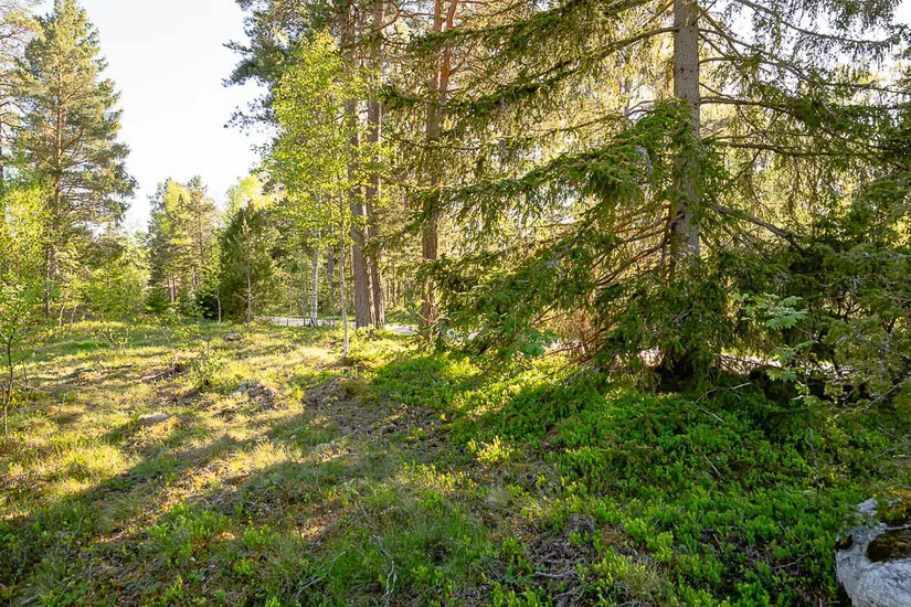 Tomt, Trydalsvägen 4, Trosa- Tofsö, Trosa