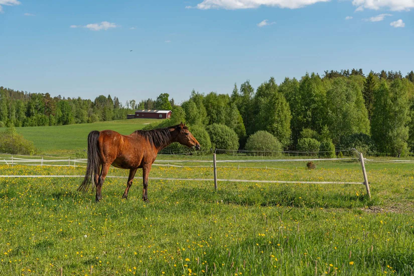 Villa, Västra Ringstad Stora Gärdet 1, Ringstad, Kil