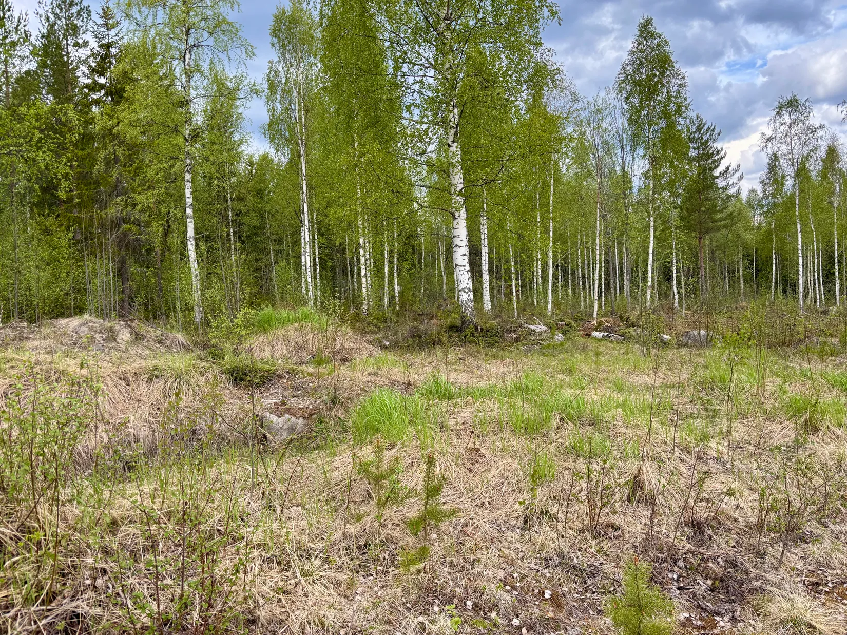 Tomt, Letsbo Färjestadsvägen 58, Letsbo, Tallåsen, Ljusdal