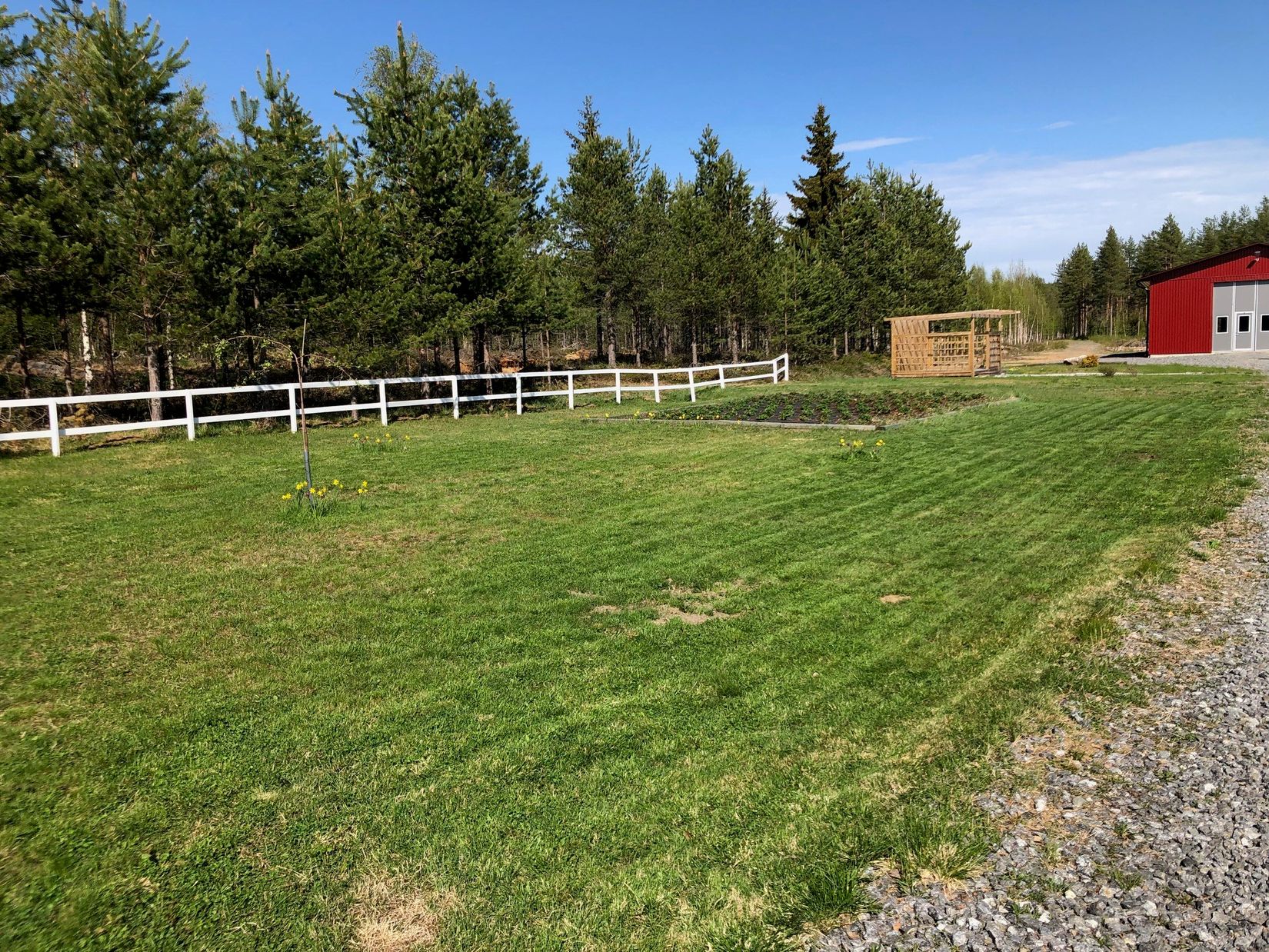 Gård/Skog, Salomonsbesök 10, Umeå