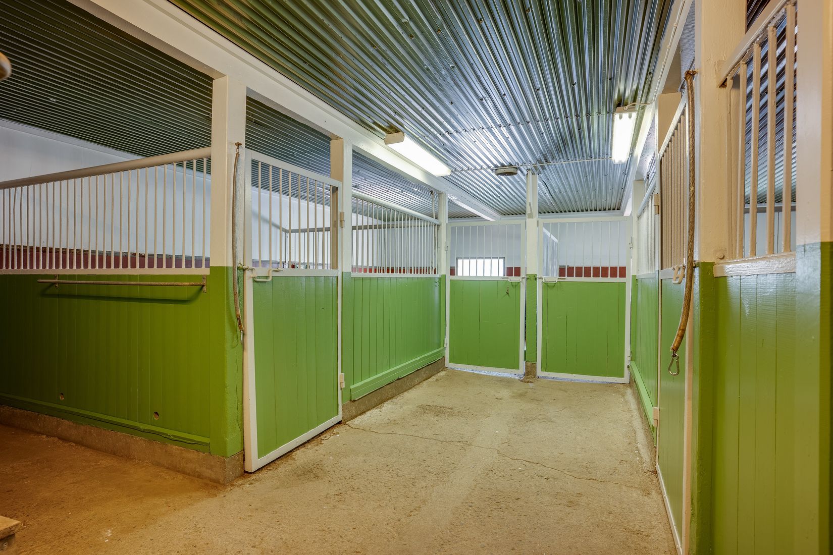 Gård/Skog, Salomonsbesök 10, Umeå