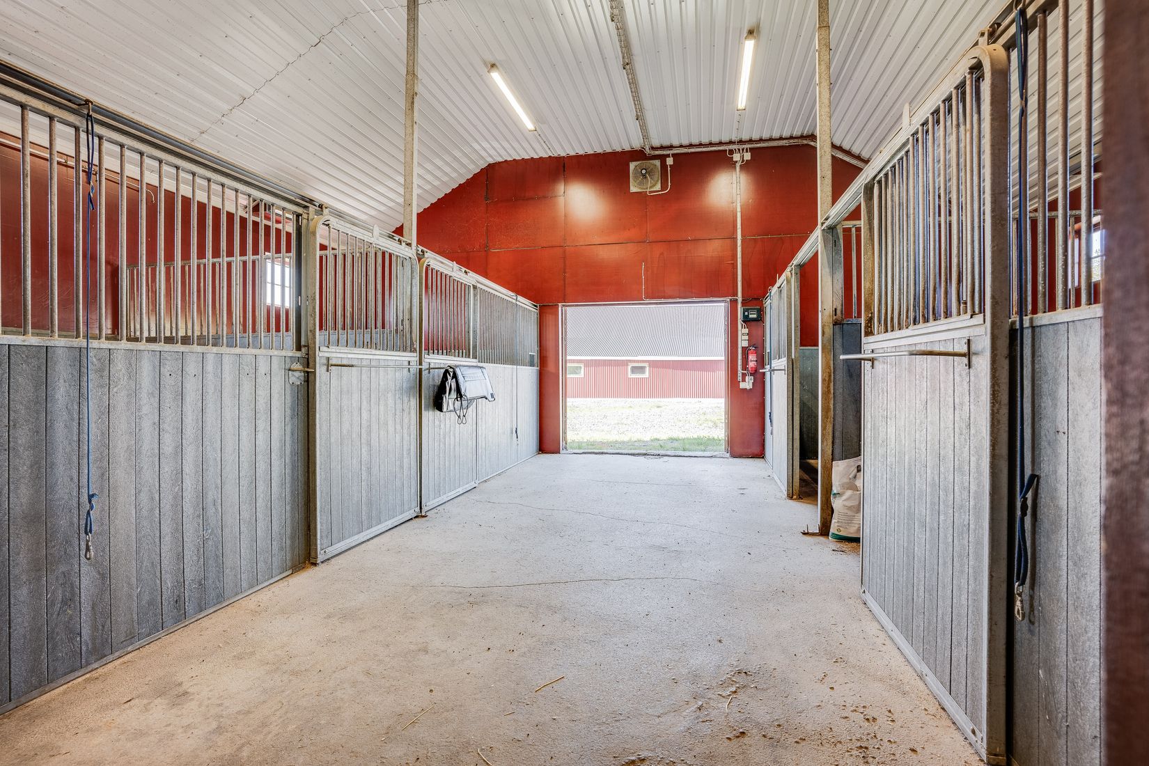 Gård/Skog, Salomonsbesök 10, Umeå