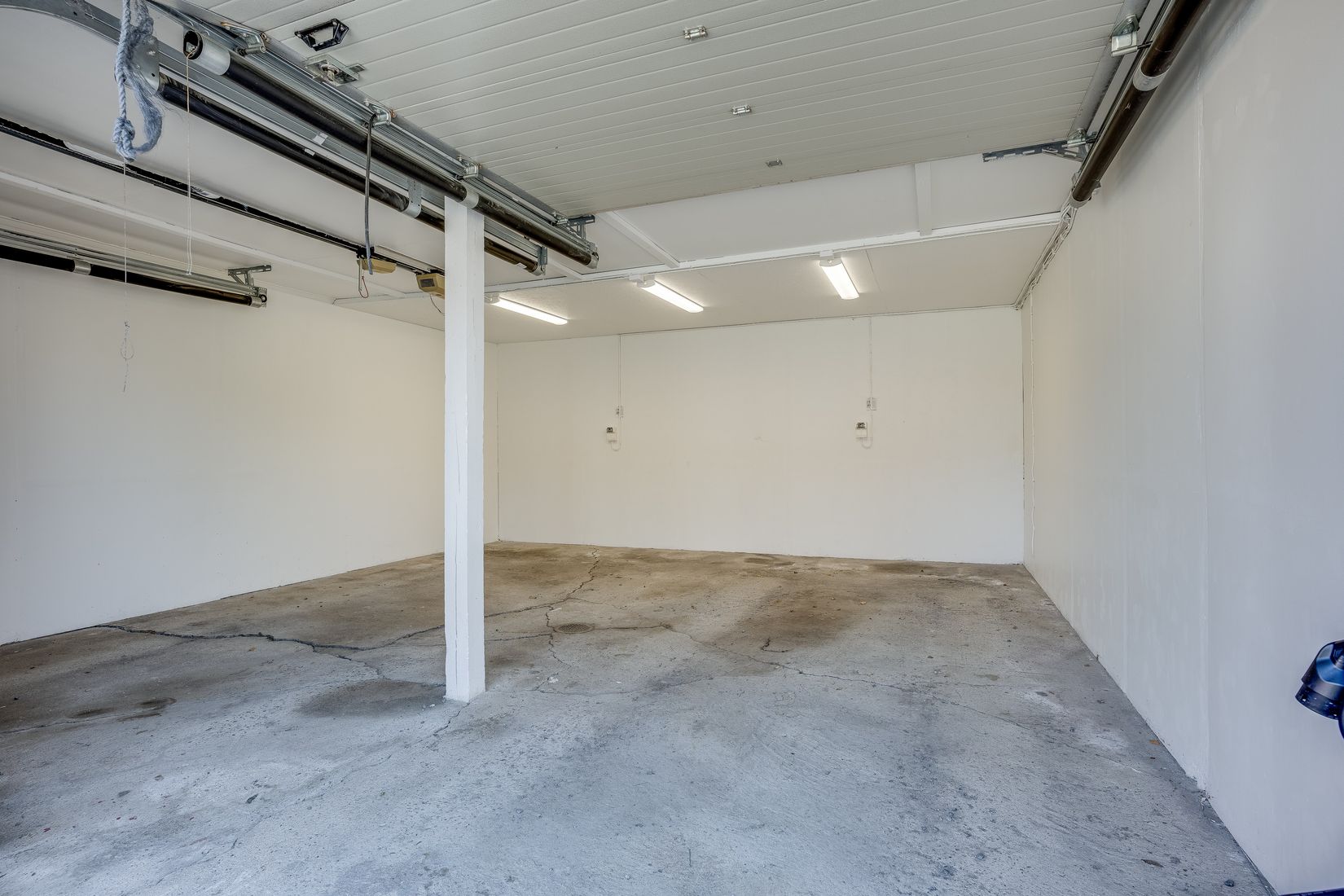 Gård/Skog, Salomonsbesök 10, Umeå