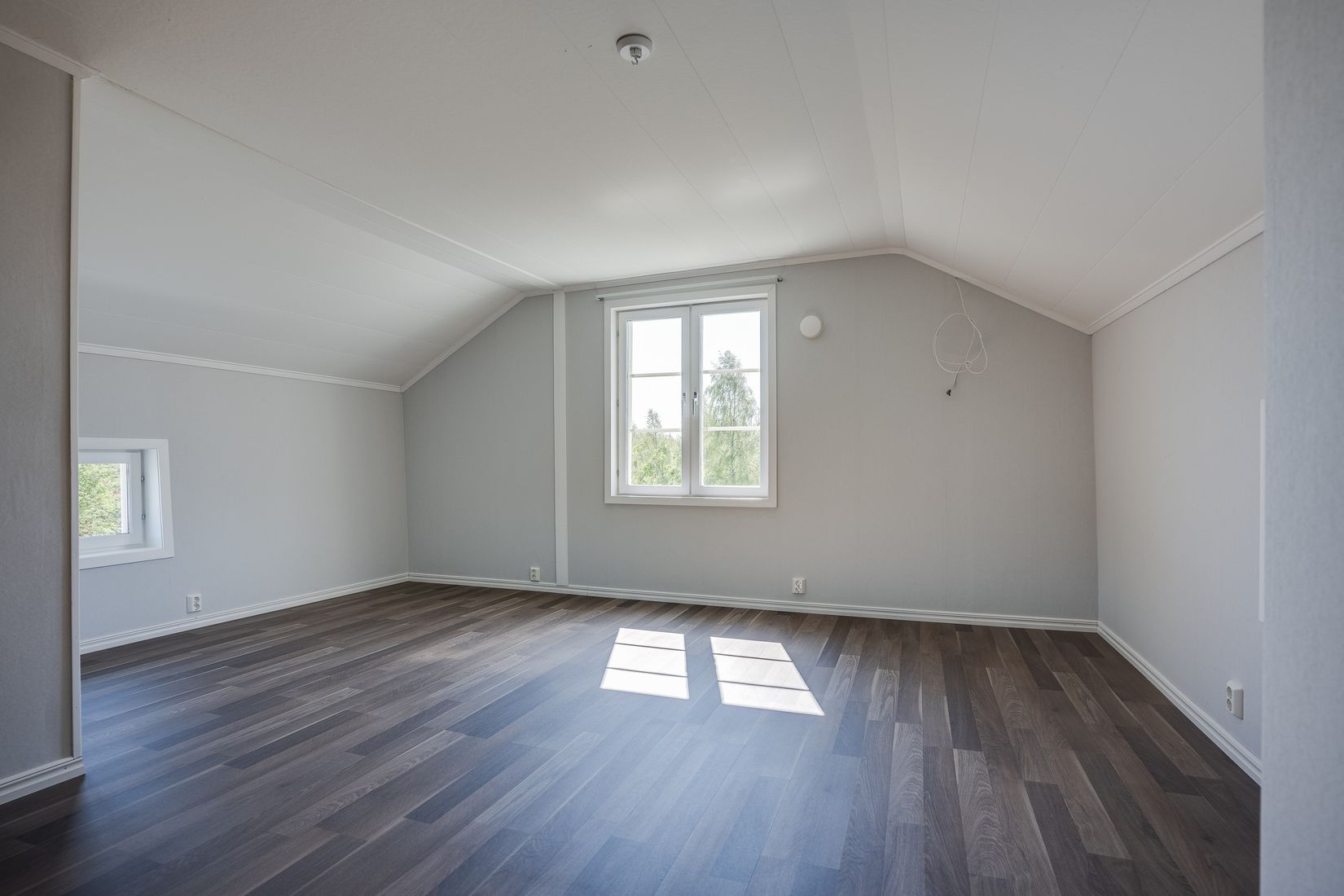 Gård/Skog, Salomonsbesök 10, Umeå