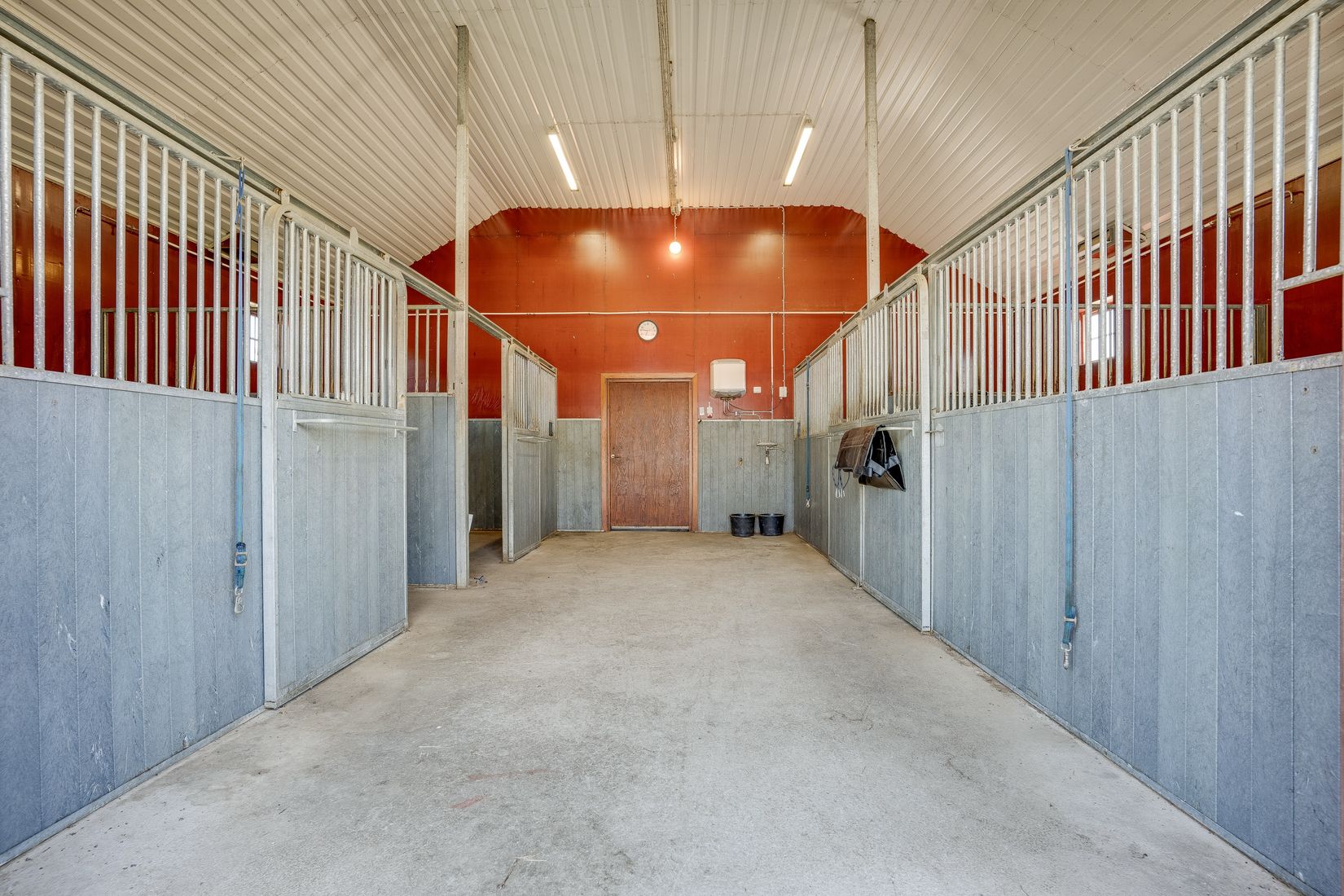 Gård/Skog, Salomonsbesök 10, Umeå