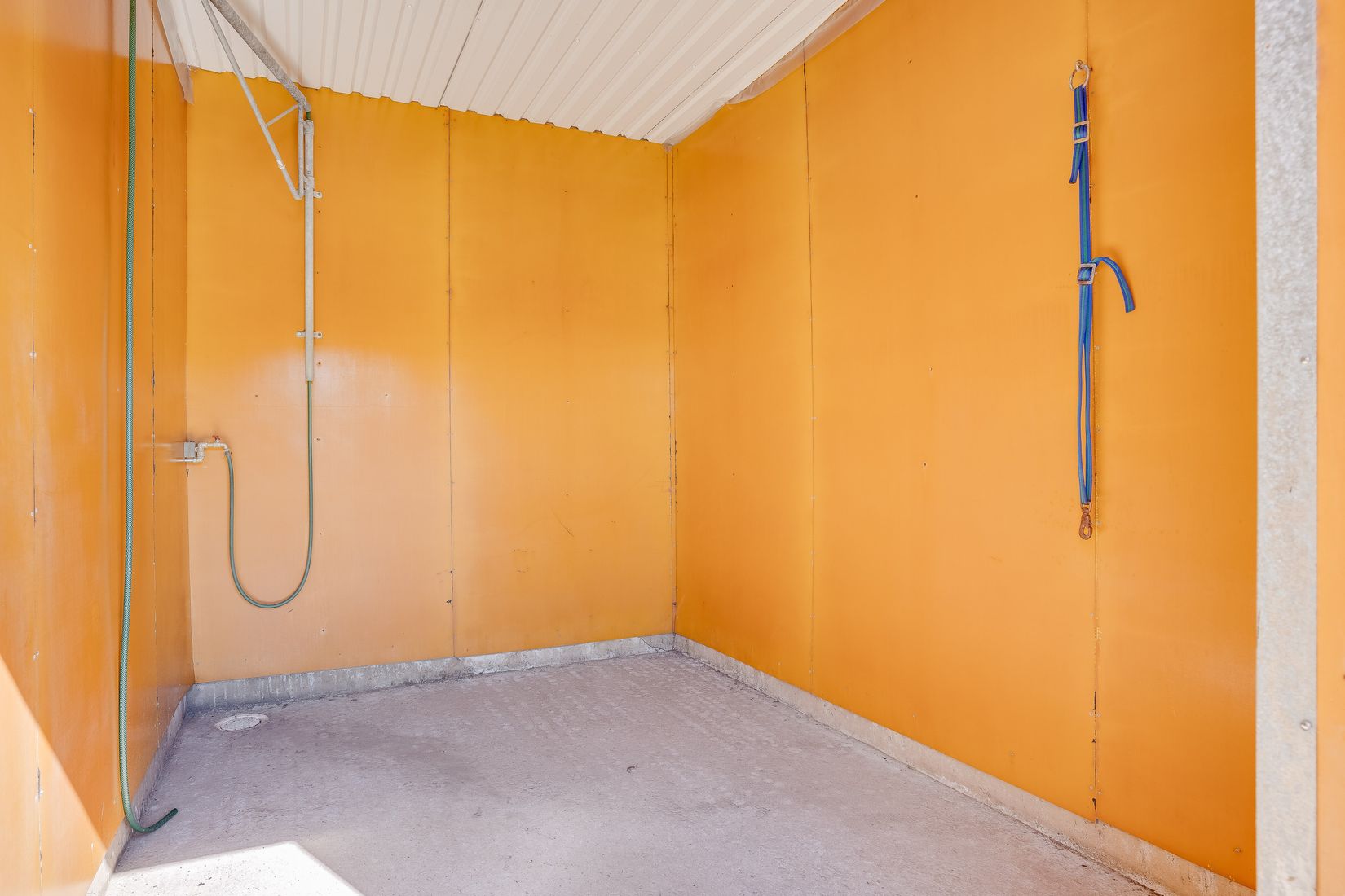 Gård/Skog, Salomonsbesök 10, Umeå