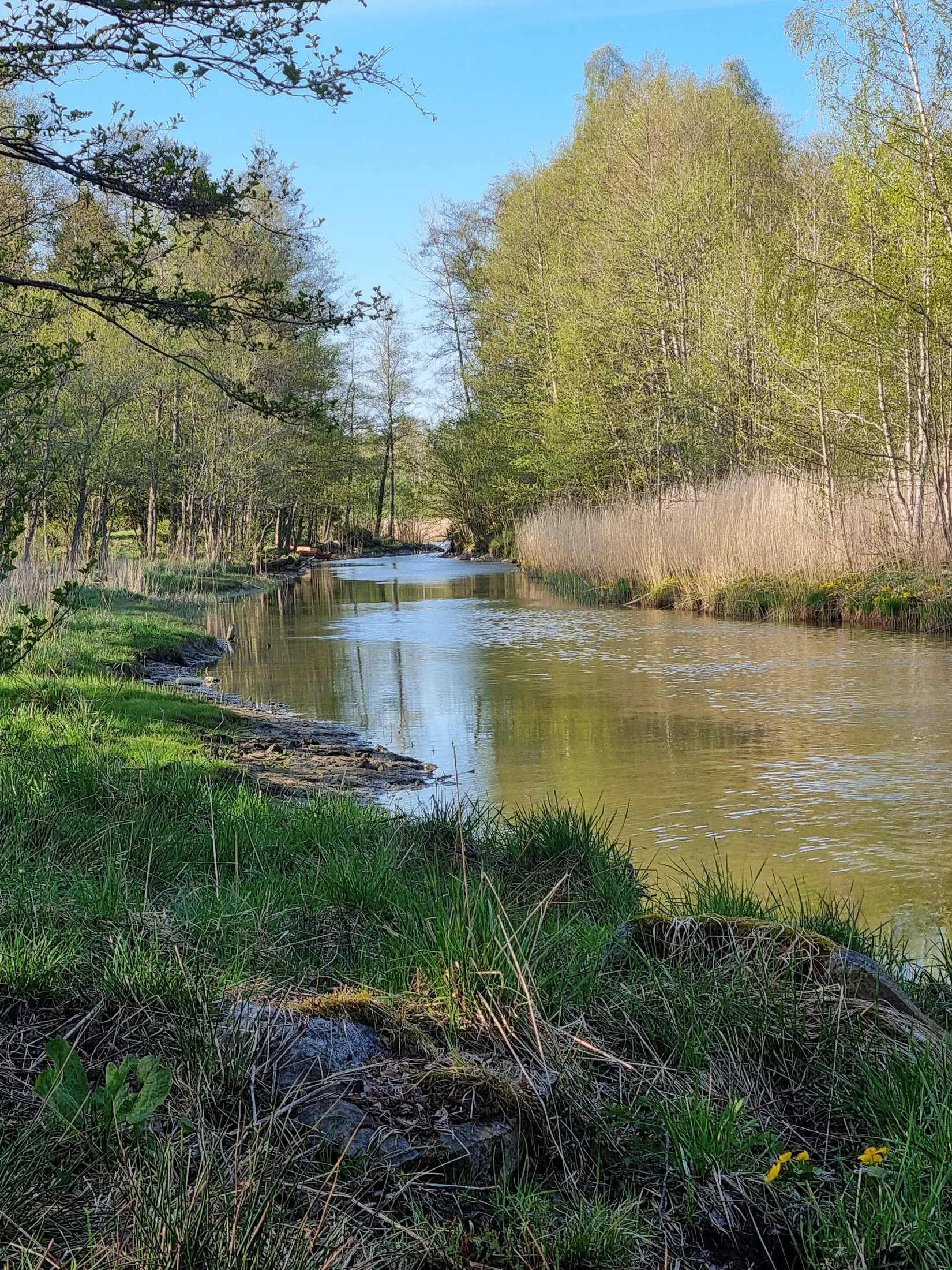 Tomt, Sundgårdsvägen 31, Björkö, Norrtälje