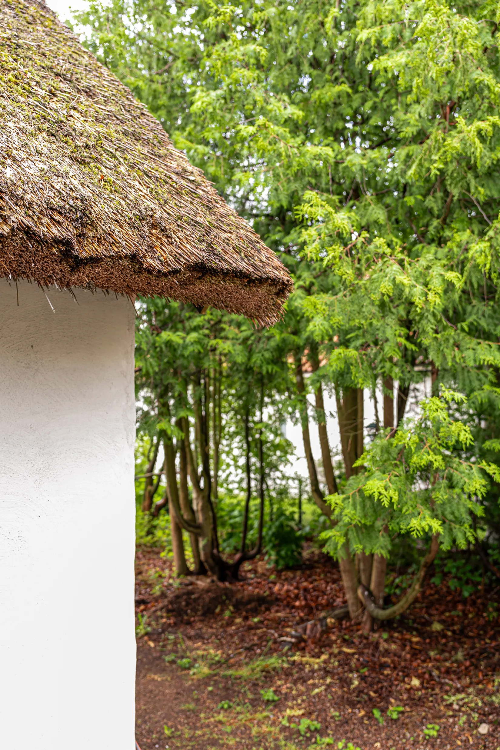 Villa, Ludvigsborgsvägen 20, Ludvigsborg, Hörby