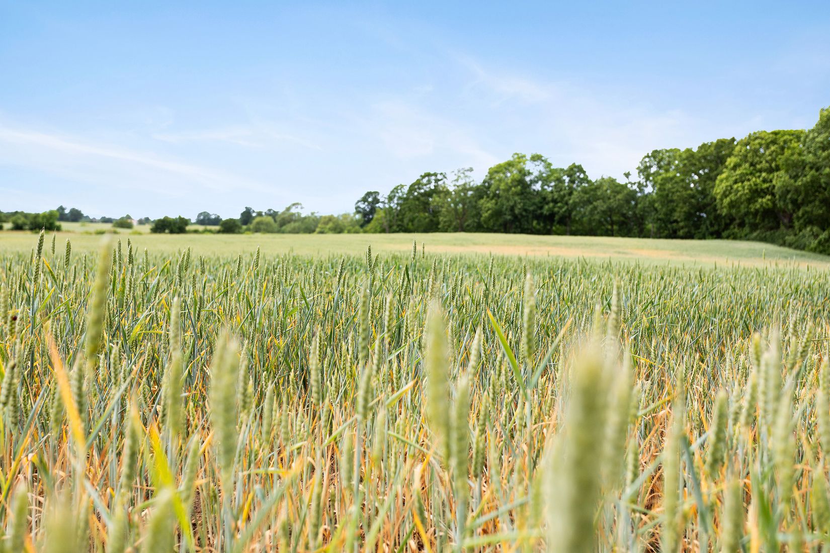 Fritidshus, Norra Ragnabovägen 14, Ragnabo, Torsås