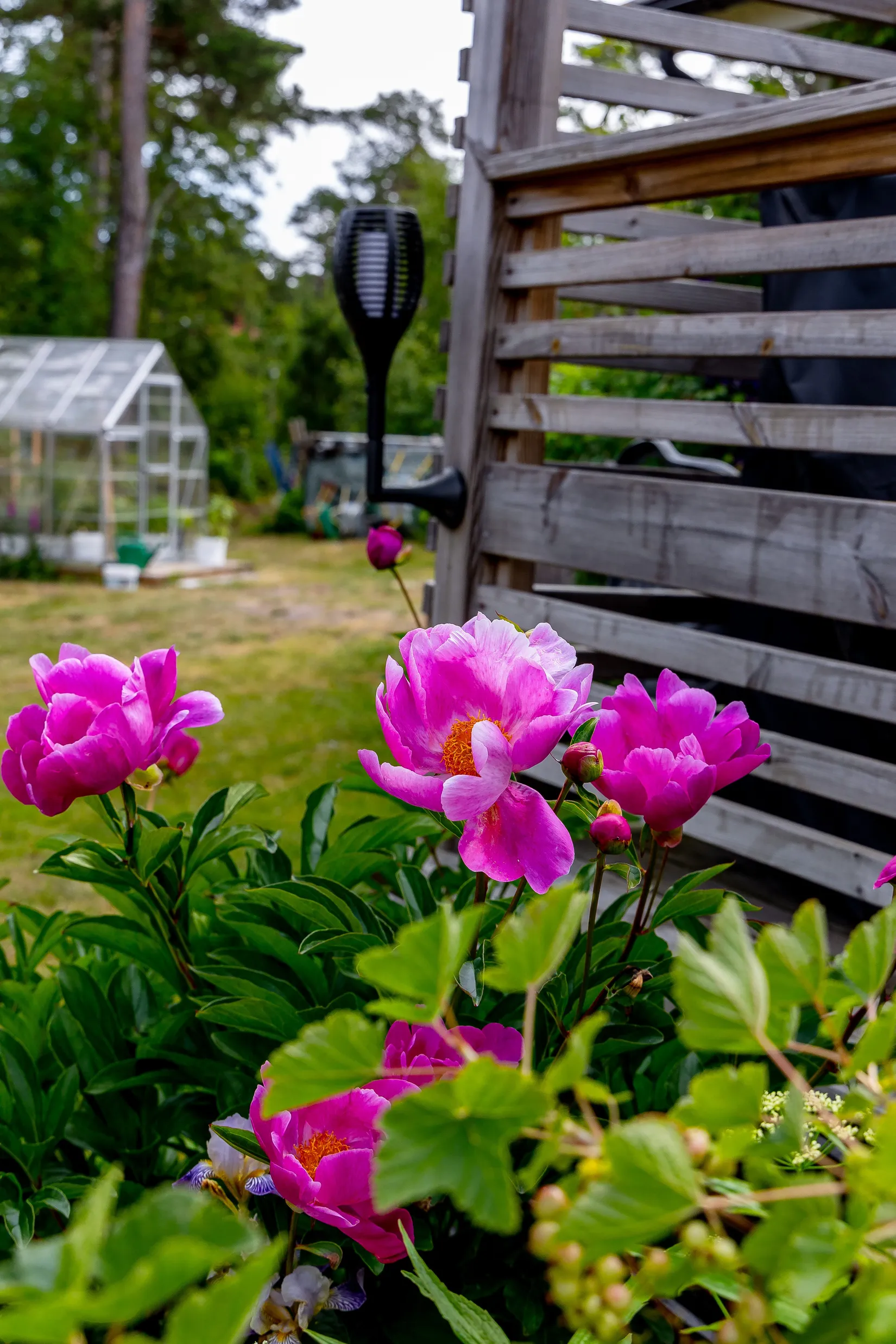 Villa, Seglarvägen 38, Oknö, Mönsterås