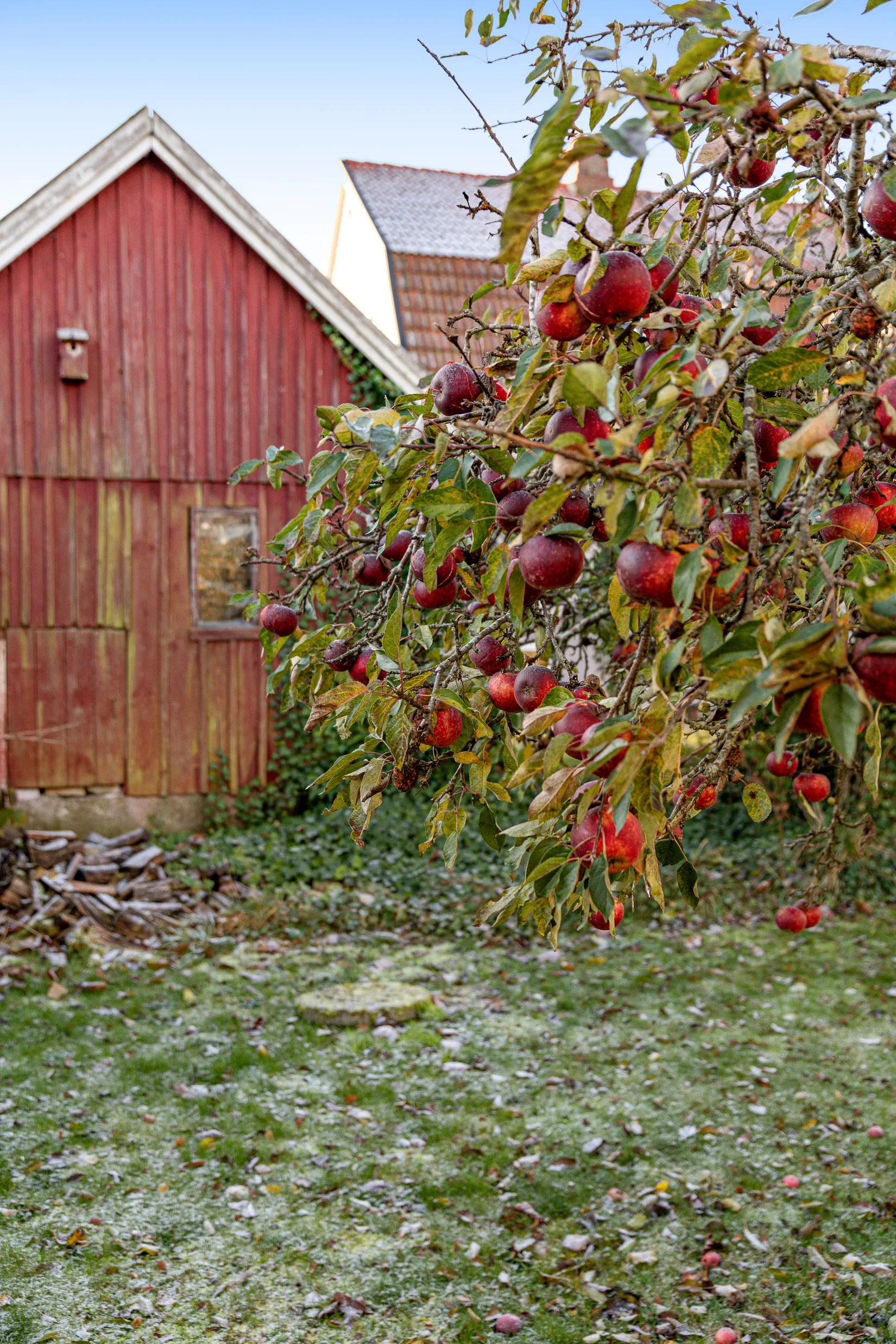 Villa, Linderödsvägen 442, Tollarp, Kristianstad