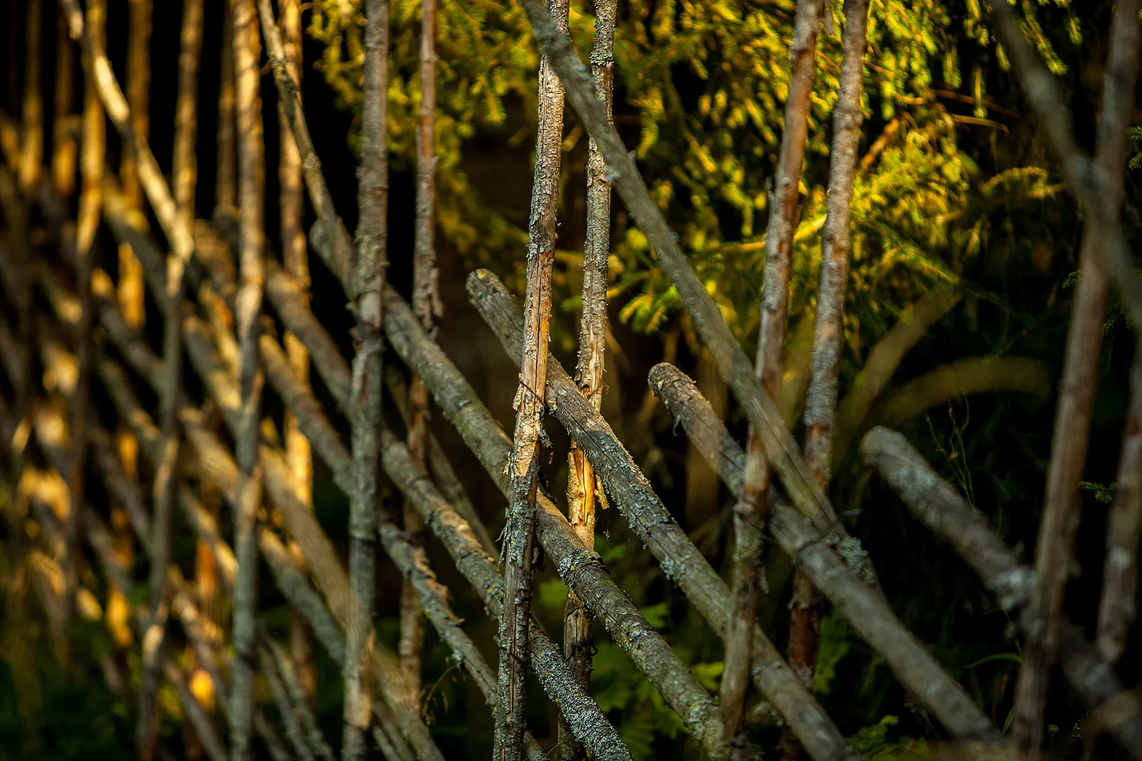 Fritidshus, Lomtorpet 29, Säter