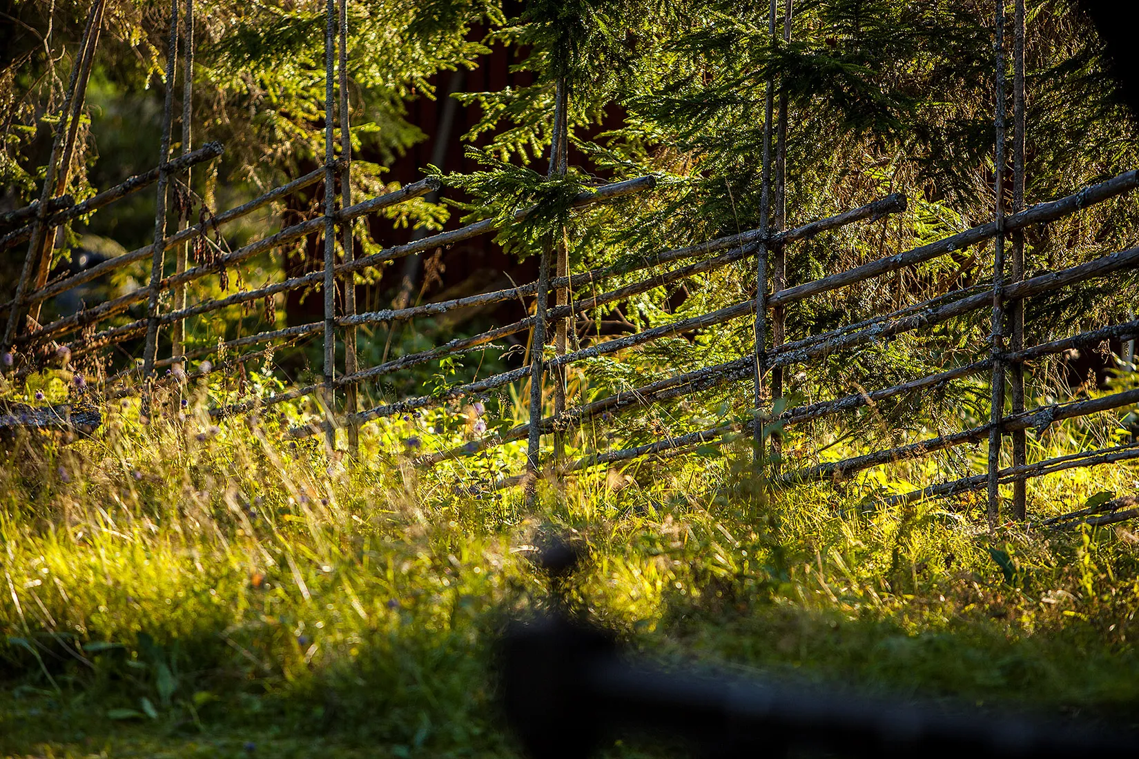 Fritidshus, Lomtorpet 29, Säter
