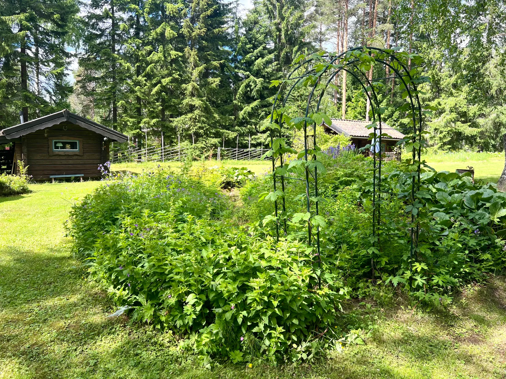 Fritidshus, Lomtorpet 29, Säter