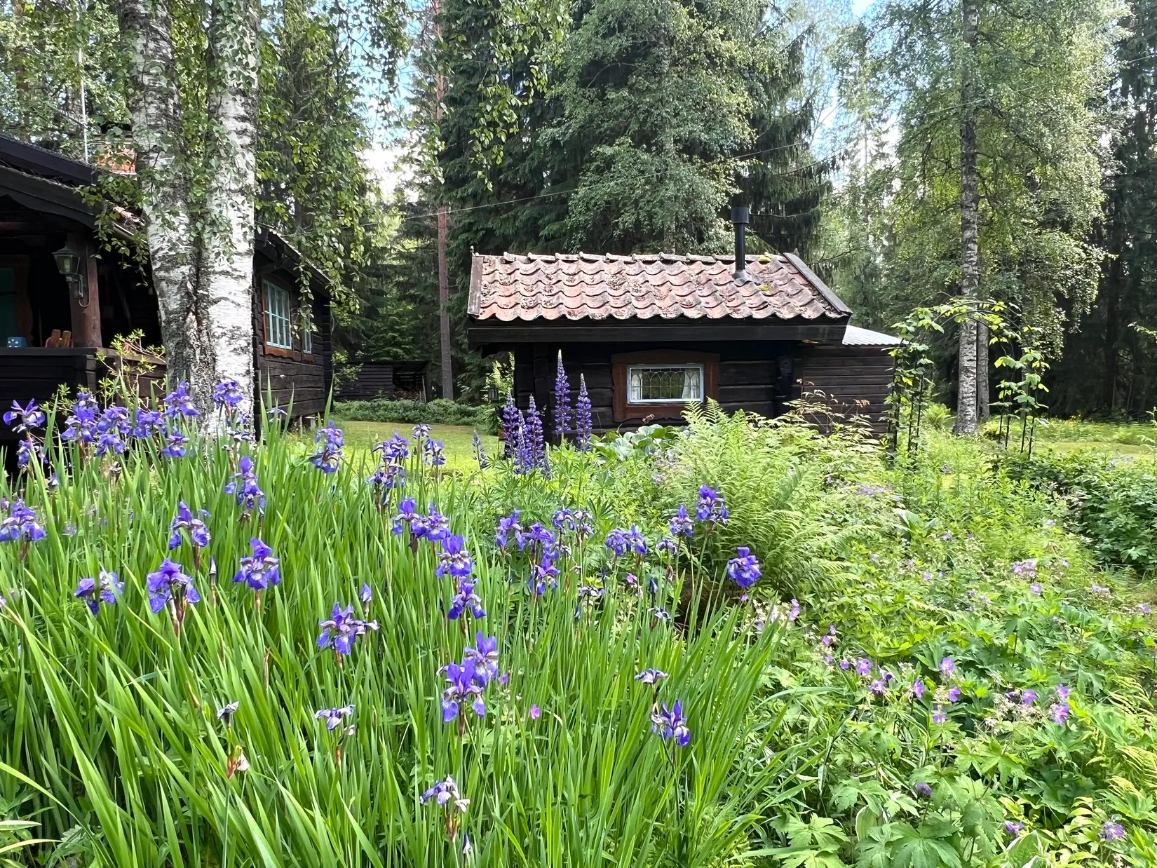 Fritidshus, Lomtorpet 29, Säter