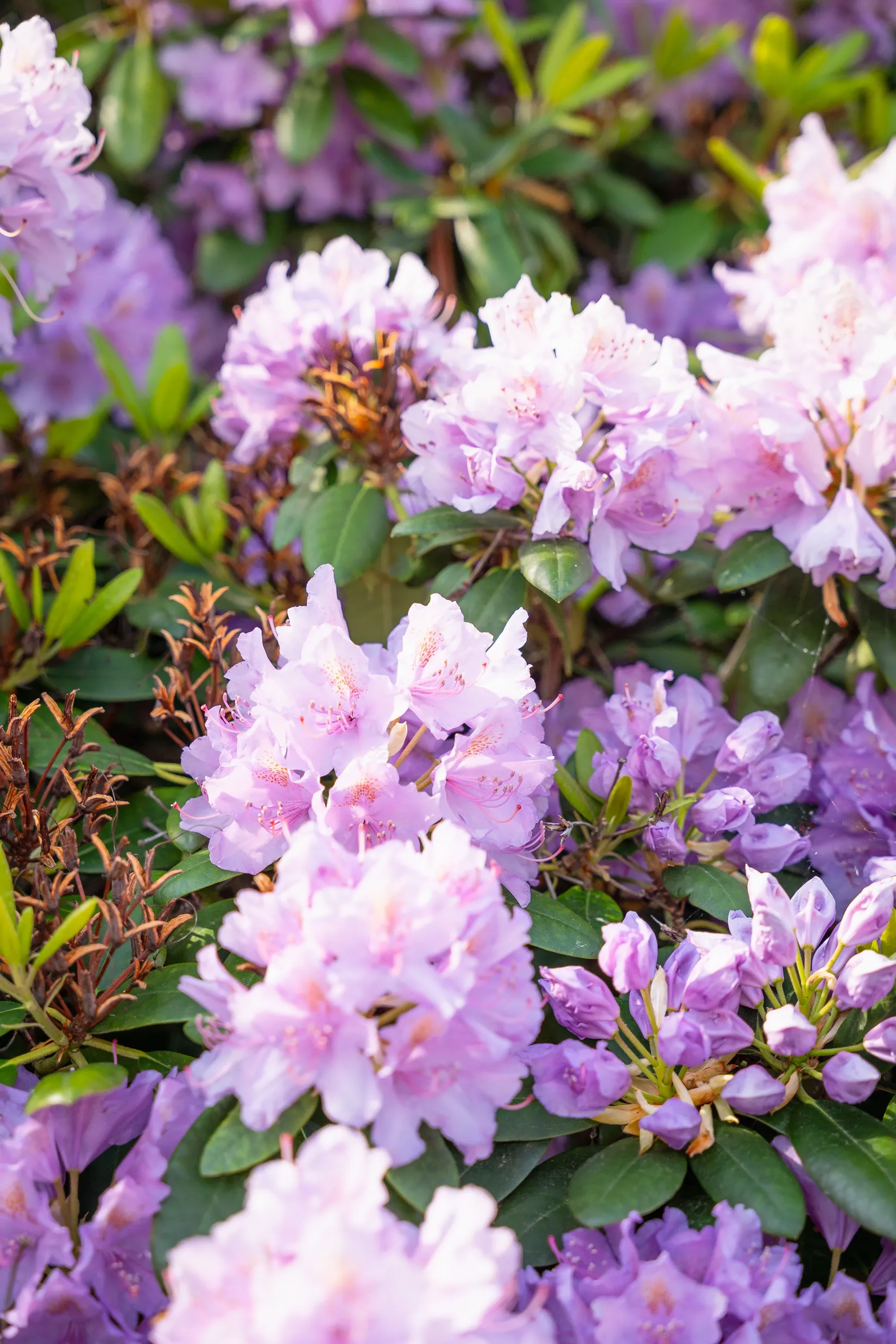 Villa, Pråmgatan 6, Lindö, Norrköping