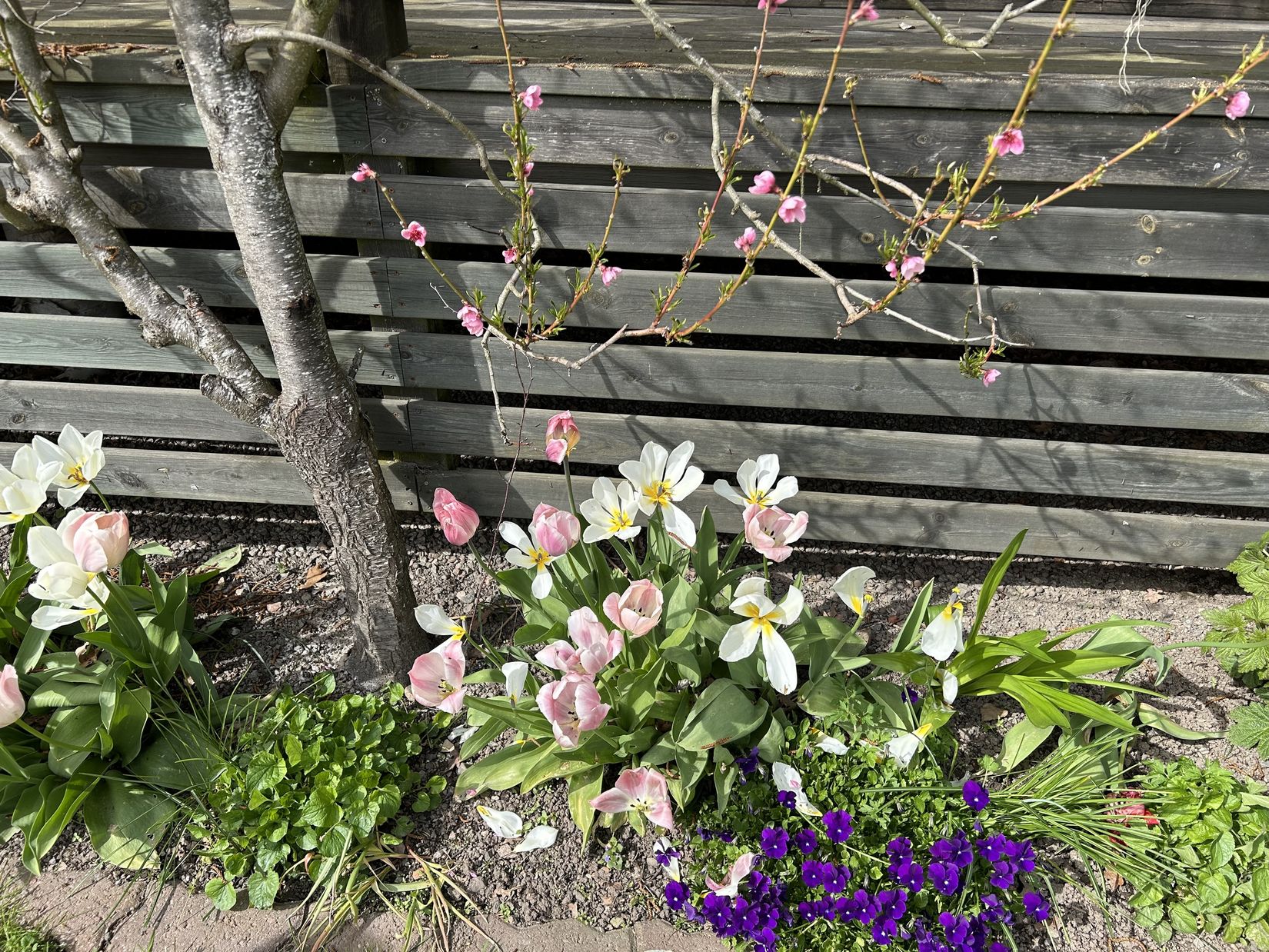 Fritidshus, Östra Harg Holmen norra 16, Östra Harg, Linköping